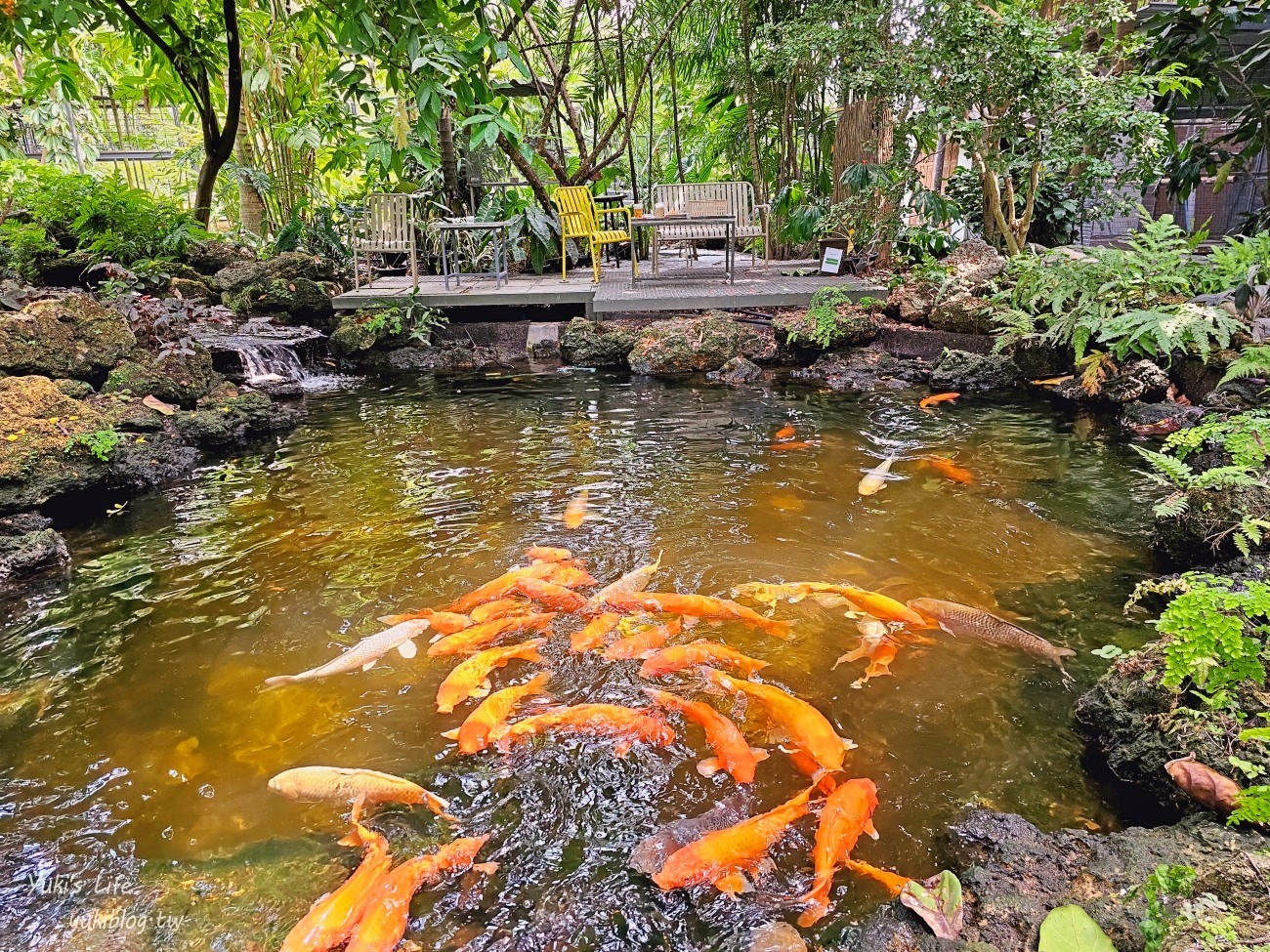 曼谷網美咖啡廳【Botanist activity space and cafe】療癒綠植仙人掌.可愛動物.連兒童遊戲區都有~ - yuki.tw