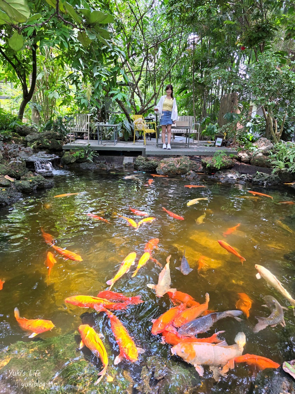 曼谷網美咖啡廳【Botanist activity space and cafe】療癒綠植仙人掌.可愛動物.連兒童遊戲區都有~ - yuki.tw