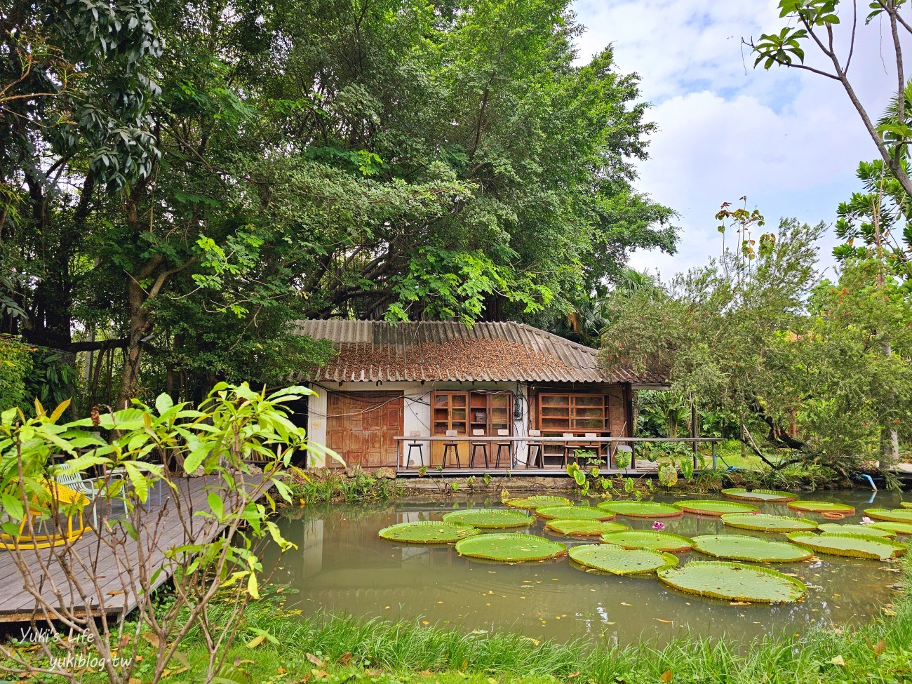 曼谷網美咖啡廳【Botanist activity space and cafe】療癒綠植仙人掌.可愛動物.連兒童遊戲區都有~ - yuki.tw