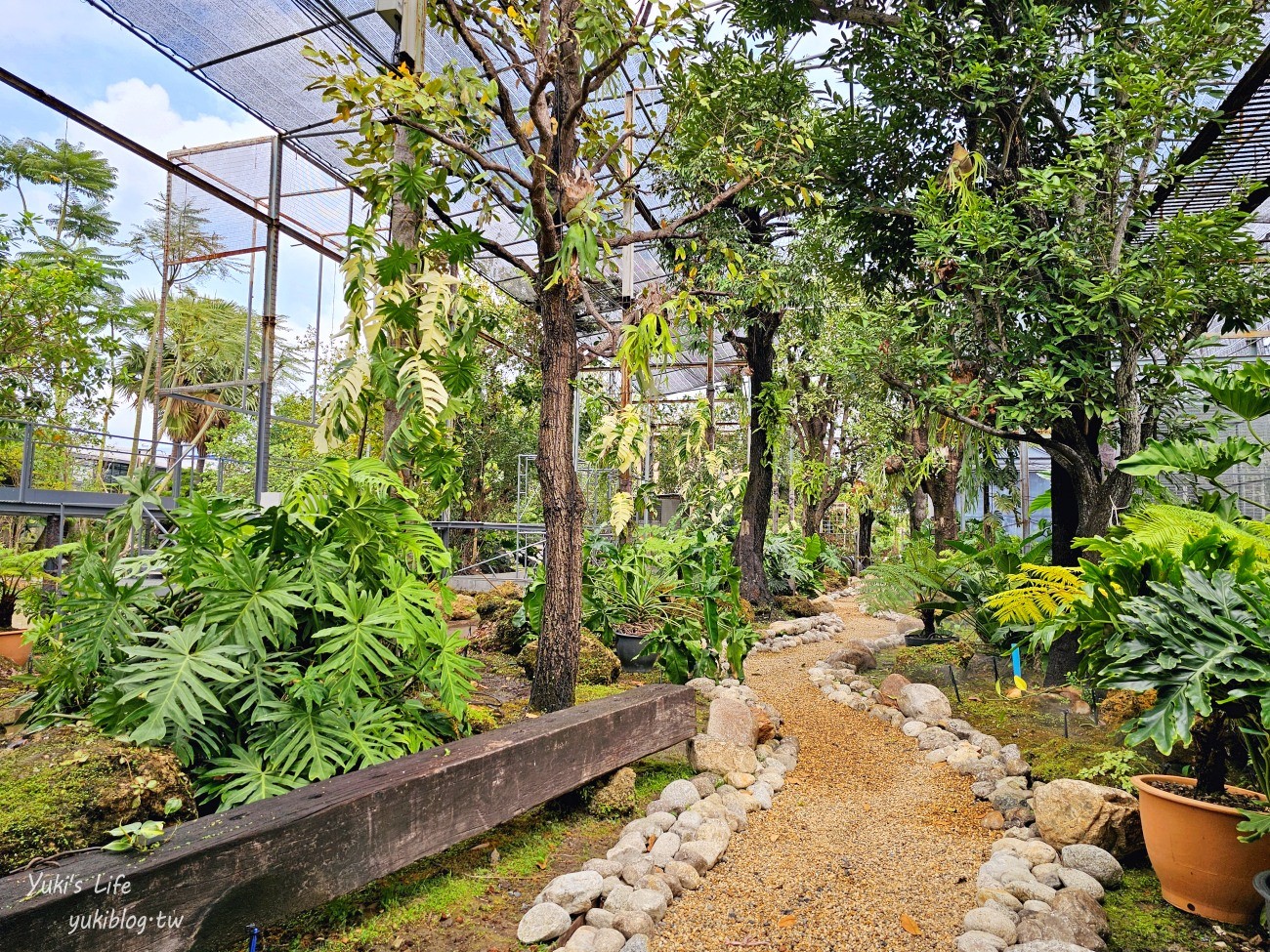 曼谷網美咖啡廳【Botanist activity space and cafe】療癒綠植仙人掌.可愛動物.連兒童遊戲區都有~ - yuki.tw