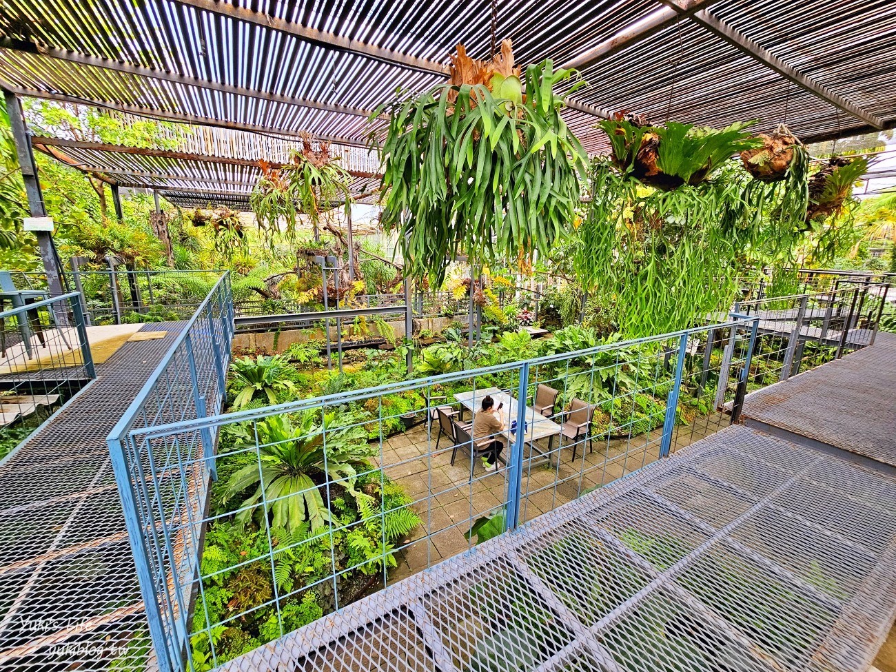 曼谷網美咖啡廳【Botanist activity space and cafe】療癒綠植仙人掌.可愛動物.連兒童遊戲區都有~ - yuki.tw