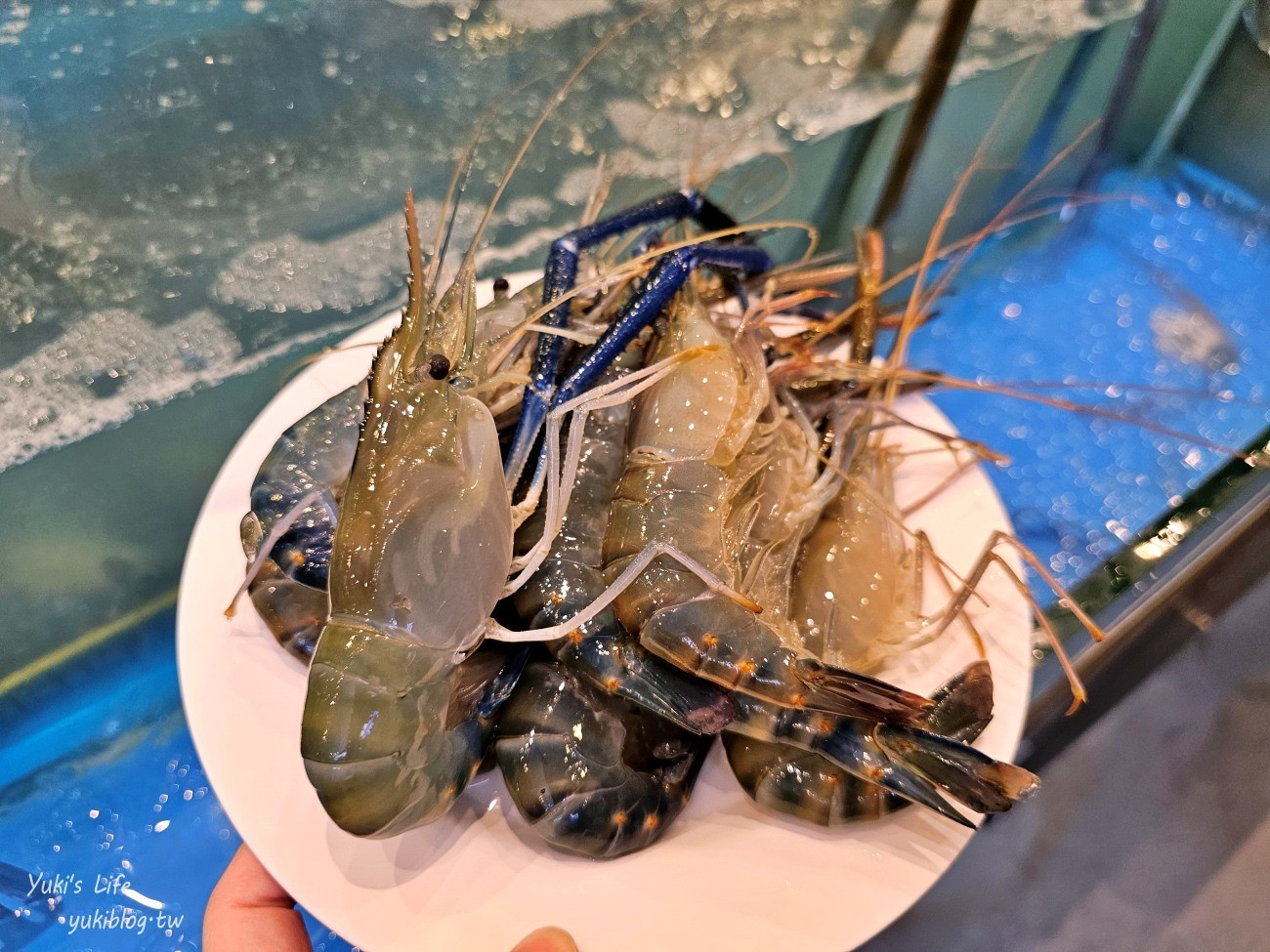 曼谷海鮮不限時吃到飽推薦【Mungkorn Seafood】只要499~泰國蝦.生醃.螃蟹.蔬果任你吃 - yuki.tw