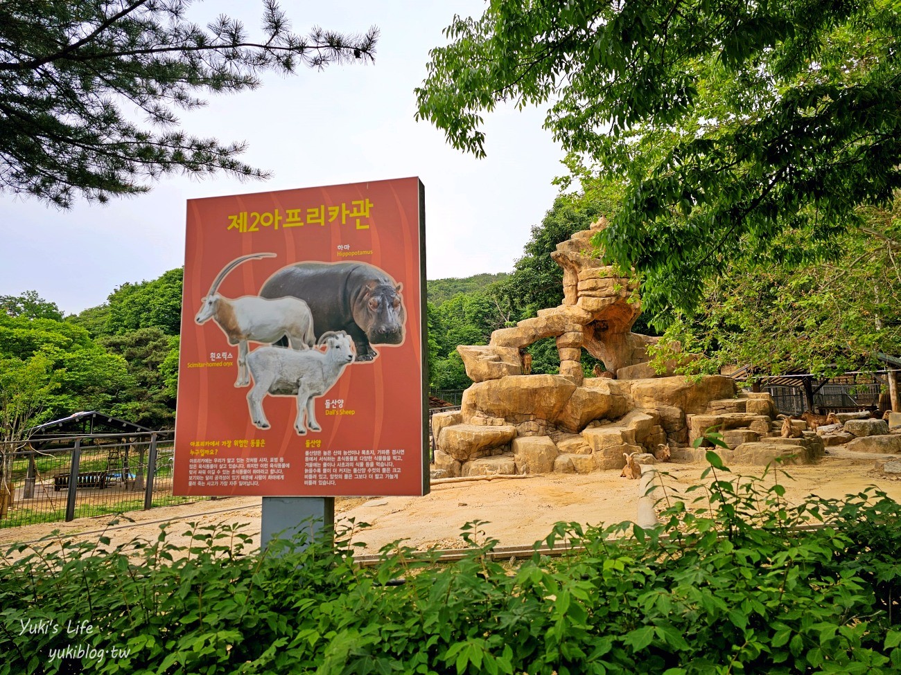 首爾親子景點推薦》首爾動物園～必搭空中纜車太刺激！超大動物園~ - yuki.tw