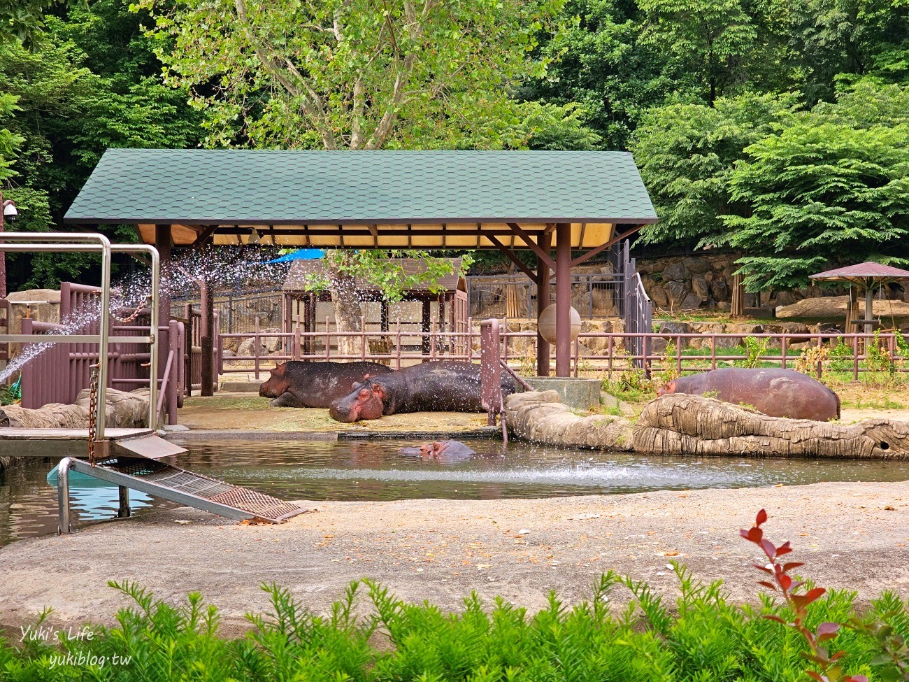 首爾親子景點推薦》首爾動物園～必搭空中纜車太刺激！超大動物園~ - yuki.tw