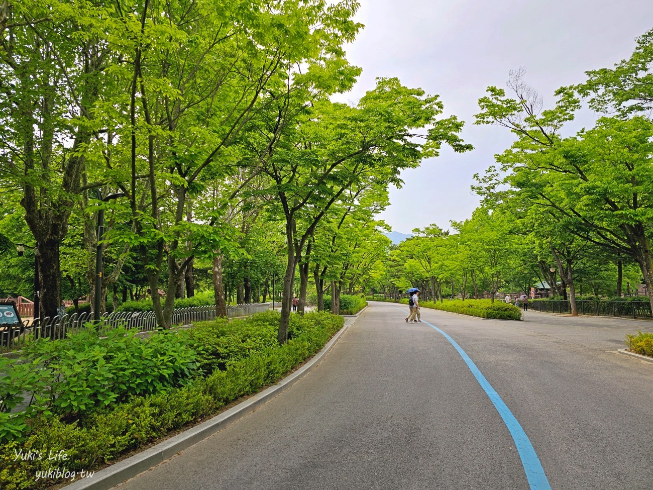 首爾親子景點推薦》首爾動物園～必搭空中纜車太刺激！超大動物園~ - yuki.tw