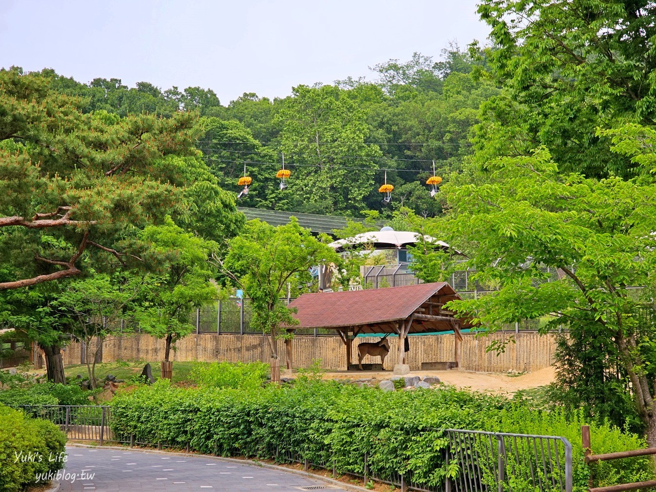 首爾親子景點推薦》首爾動物園～必搭空中纜車太刺激！超大動物園~ - yuki.tw