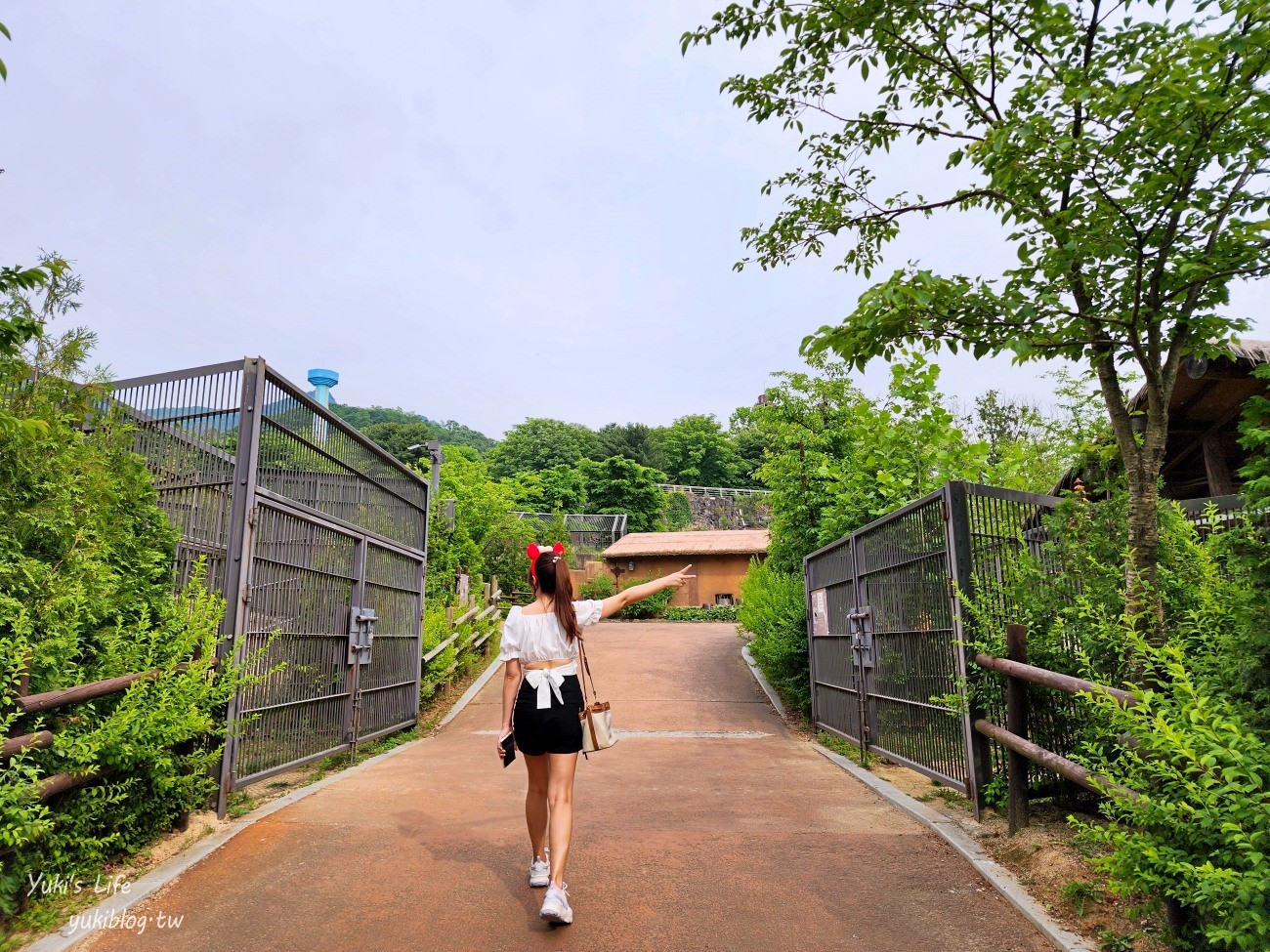 首爾親子景點推薦》首爾動物園～必搭空中纜車太刺激！超大動物園~ - yuki.tw