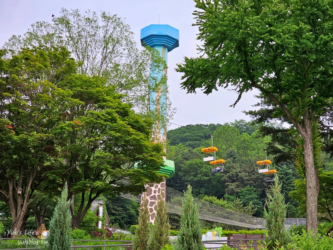 首爾親子景點推薦》首爾動物園～必搭空中纜車太刺激！超大動物園~ - yuki.tw