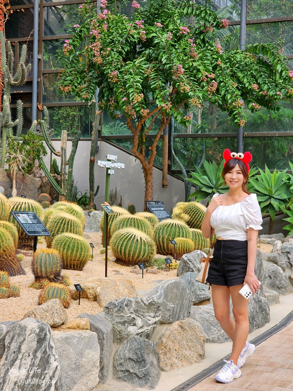 首爾親子景點推薦》首爾動物園～必搭空中纜車太刺激！超大動物園~ - yuki.tw