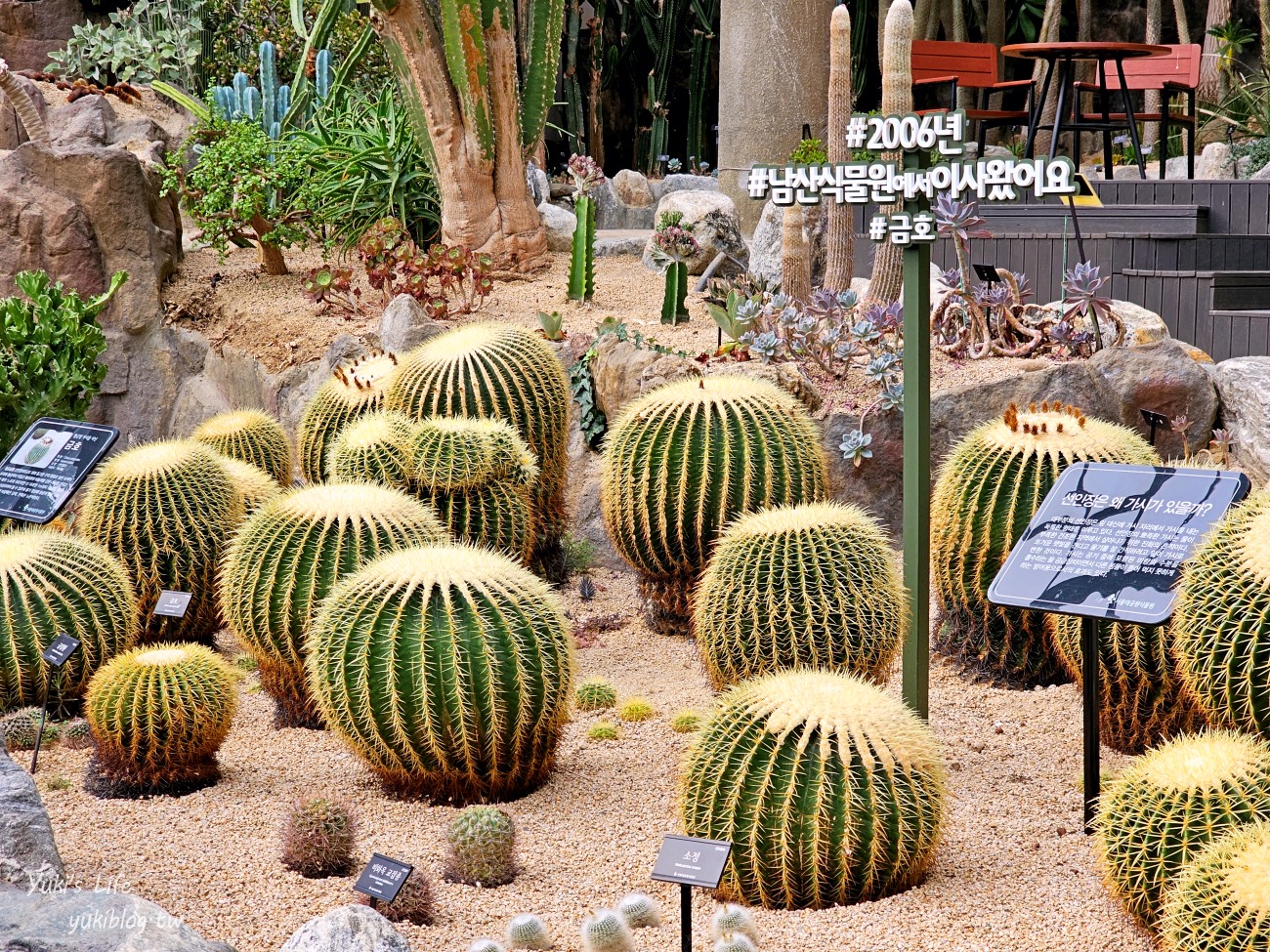 首爾親子景點推薦》首爾動物園～必搭空中纜車太刺激！超大動物園~ - yuki.tw