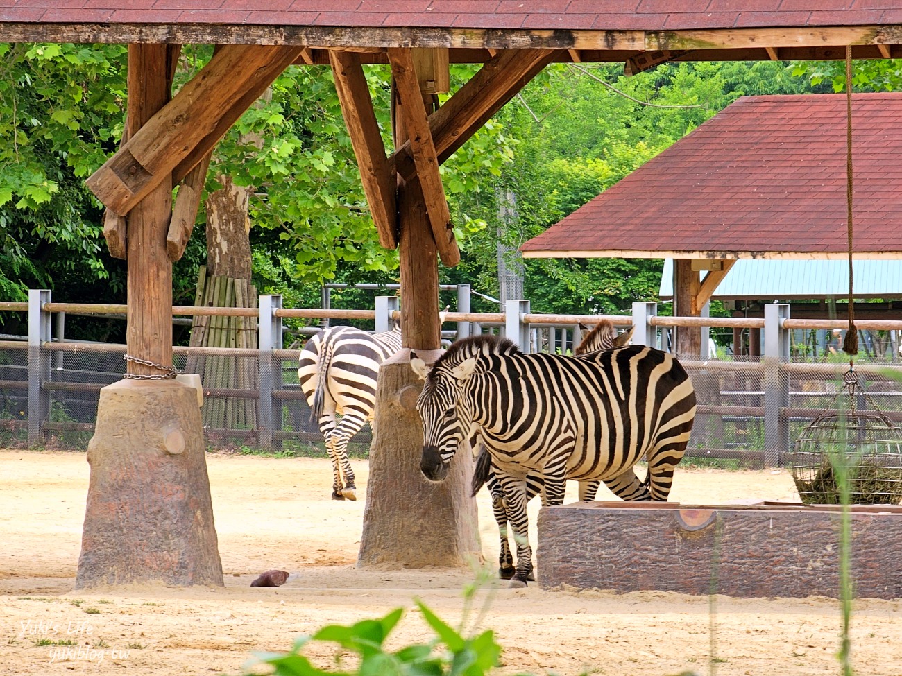 首爾親子景點推薦》首爾動物園～必搭空中纜車太刺激！超大動物園~ - yuki.tw