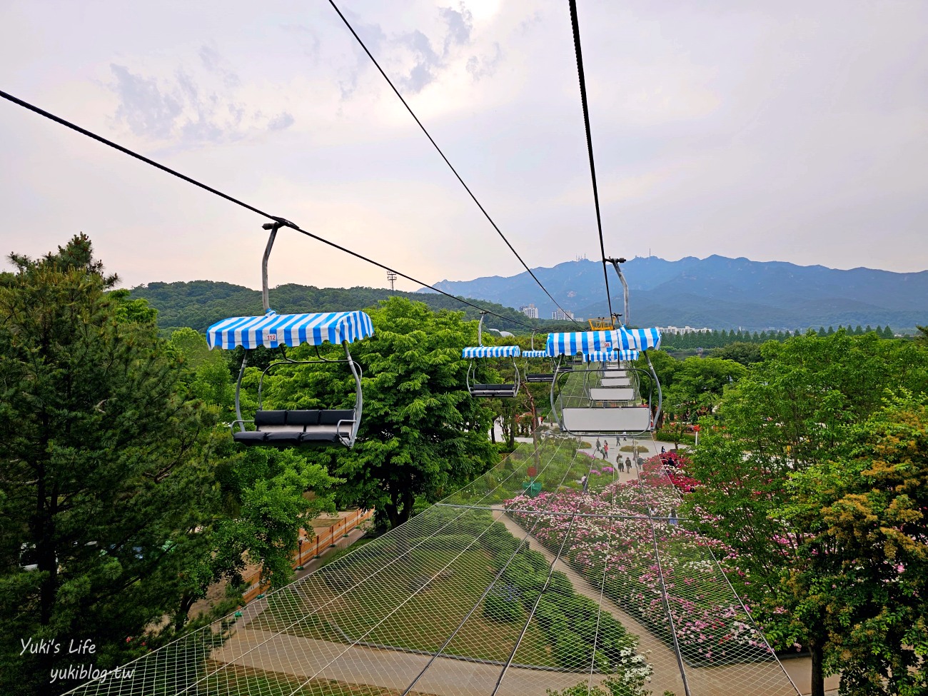 首爾親子景點推薦》首爾動物園～必搭空中纜車太刺激！超大動物園~ - yuki.tw