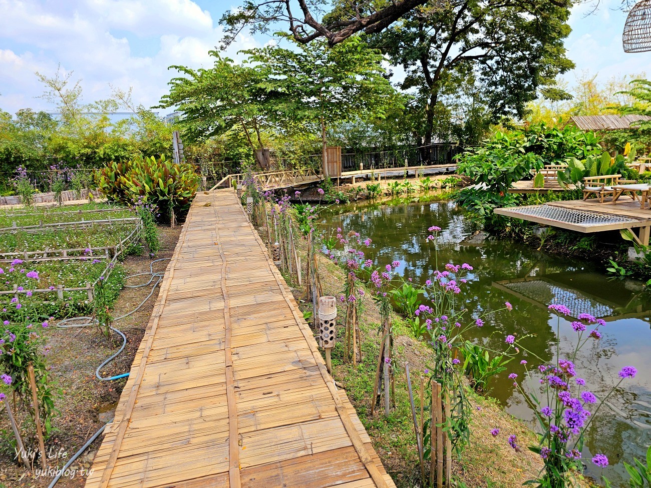 曼谷網美咖啡廳【ข้ามันบ้านนอก by บ้านนอกคอกนาเขาใหญ่】田園風超特別！與大樹合拍自然系美照 - yuki.tw