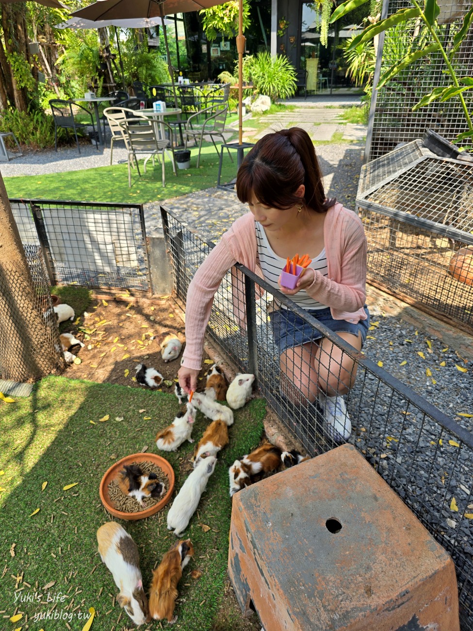 曼谷網美咖啡廳【Room 11 cafe】森林系小型動物園親子景點，餵天竺鼠好療癒~ - yuki.tw