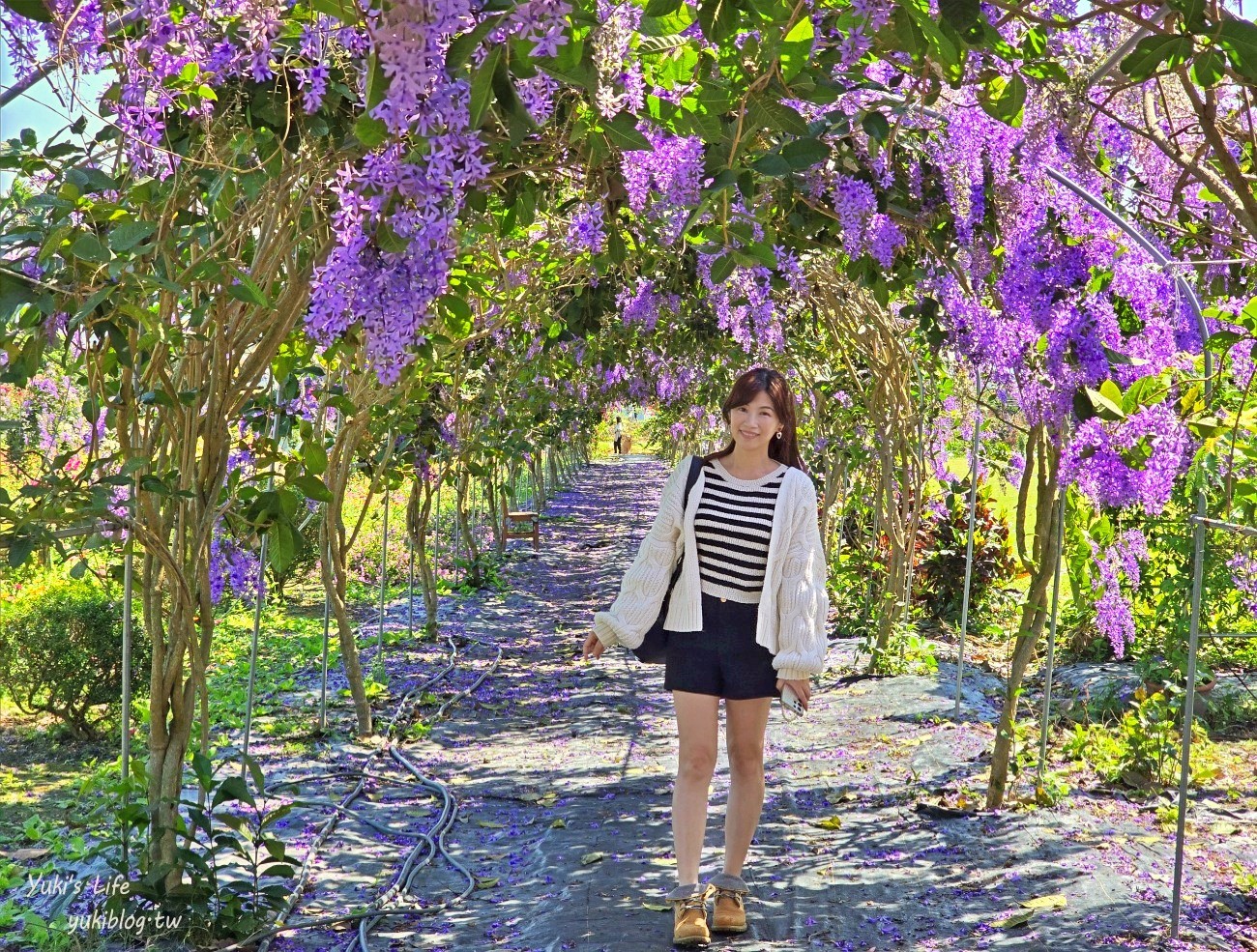 彰化最新景點一日遊│親子必玩景點行程大公開│恐龍樂園.餵鴕鳥.牛奶批發~ - yuki.tw