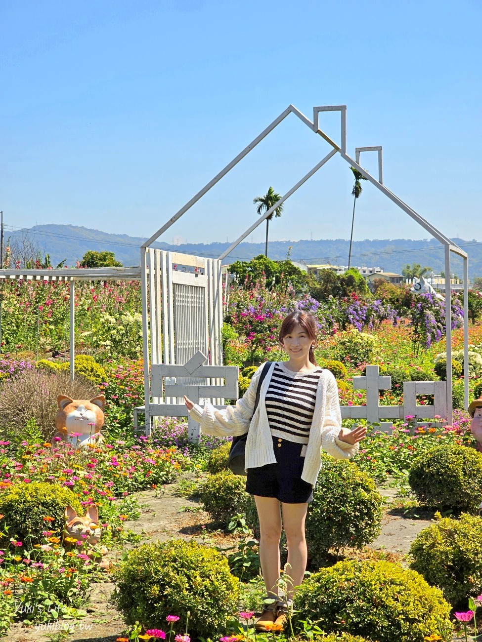 彰化景點【田中窯創藝園區】2024蜀葵花季開跑.錫葉藤爆發~貓咪太療癒~ - yuki.tw