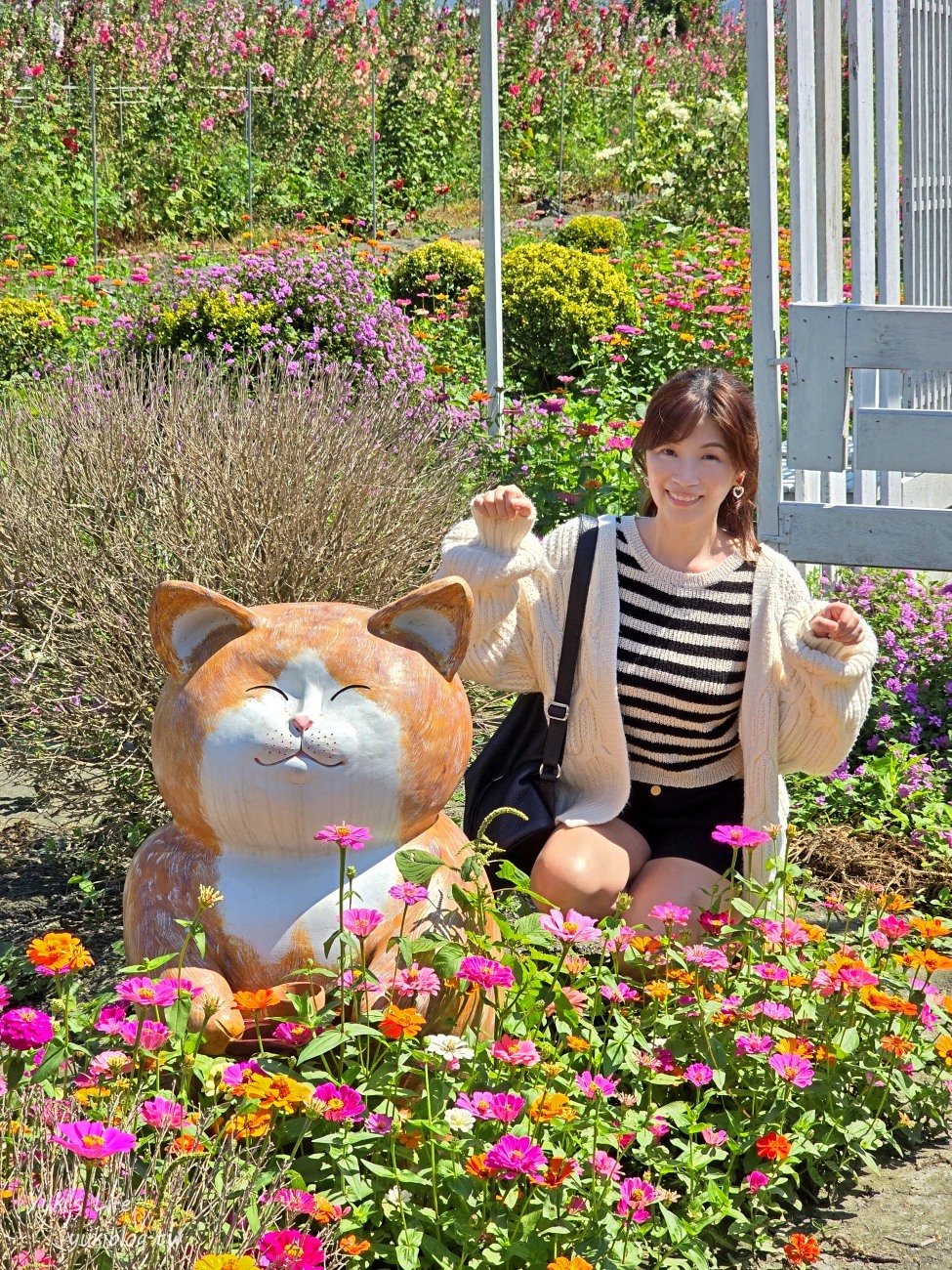 彰化最新景點一日遊│親子必玩景點行程大公開│恐龍樂園.餵鴕鳥.牛奶批發~ - yuki.tw