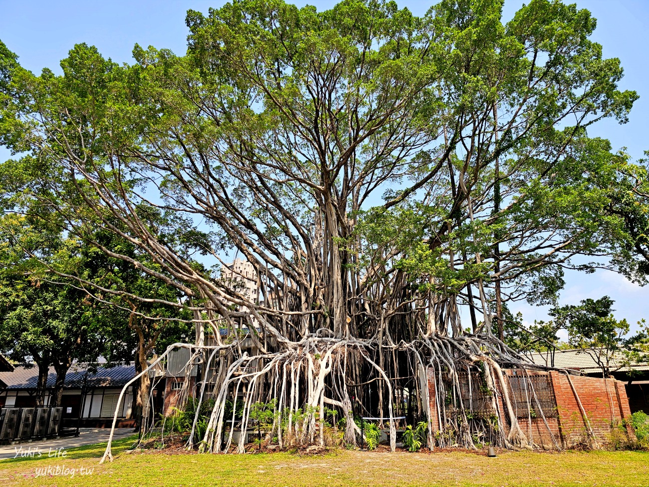 台中新景點【國家漫畫博物館】免門票走進日式宿舍的漫畫世界，回憶與上心頭 - yuki.tw