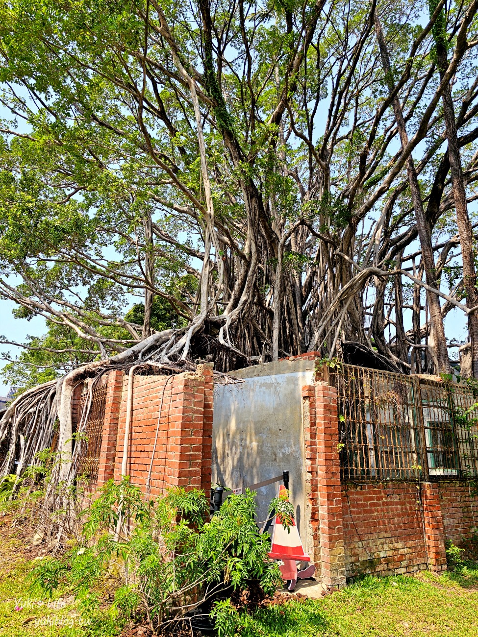 台中新景點【國家漫畫博物館】免門票走進日式宿舍的漫畫世界，回憶與上心頭 - yuki.tw