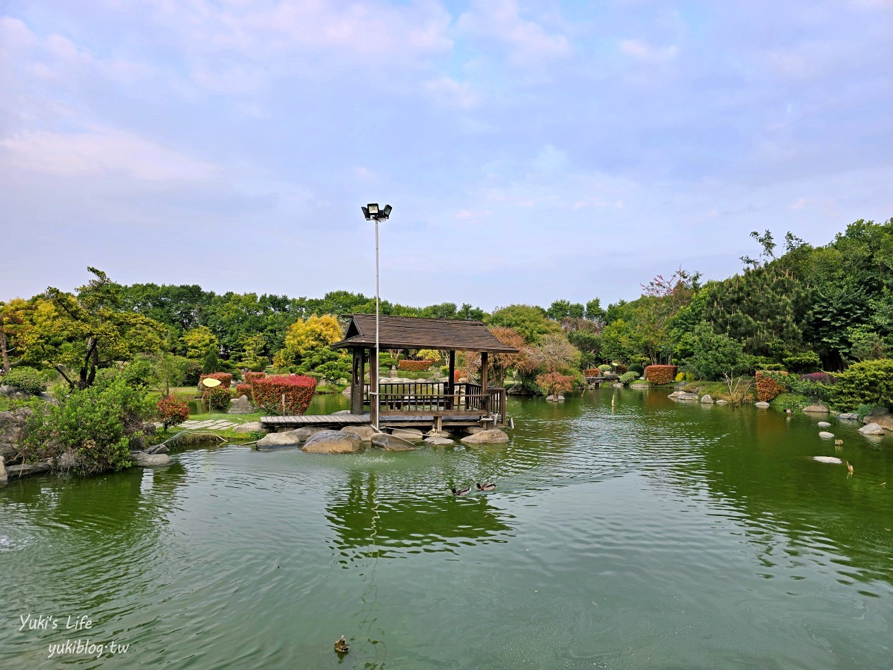 雲林虎尾景點》澄霖沉香味道森林館，全新兔子神社日式園區，來被兔兔包圍～ - yuki.tw