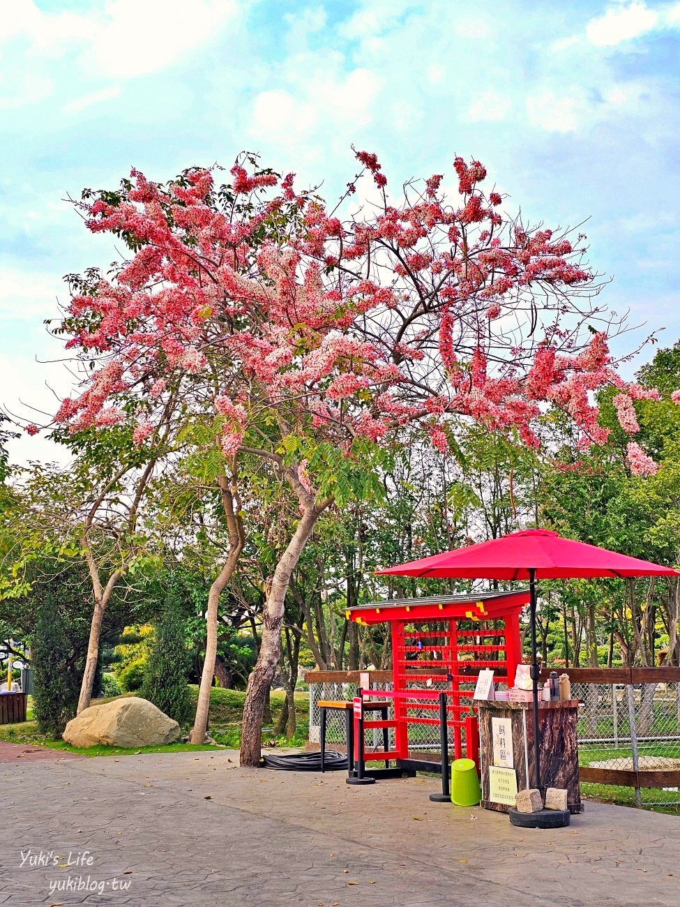 雲林虎尾景點》澄霖沉香味道森林館，全新兔子神社日式園區，來被兔兔包圍～ - yuki.tw