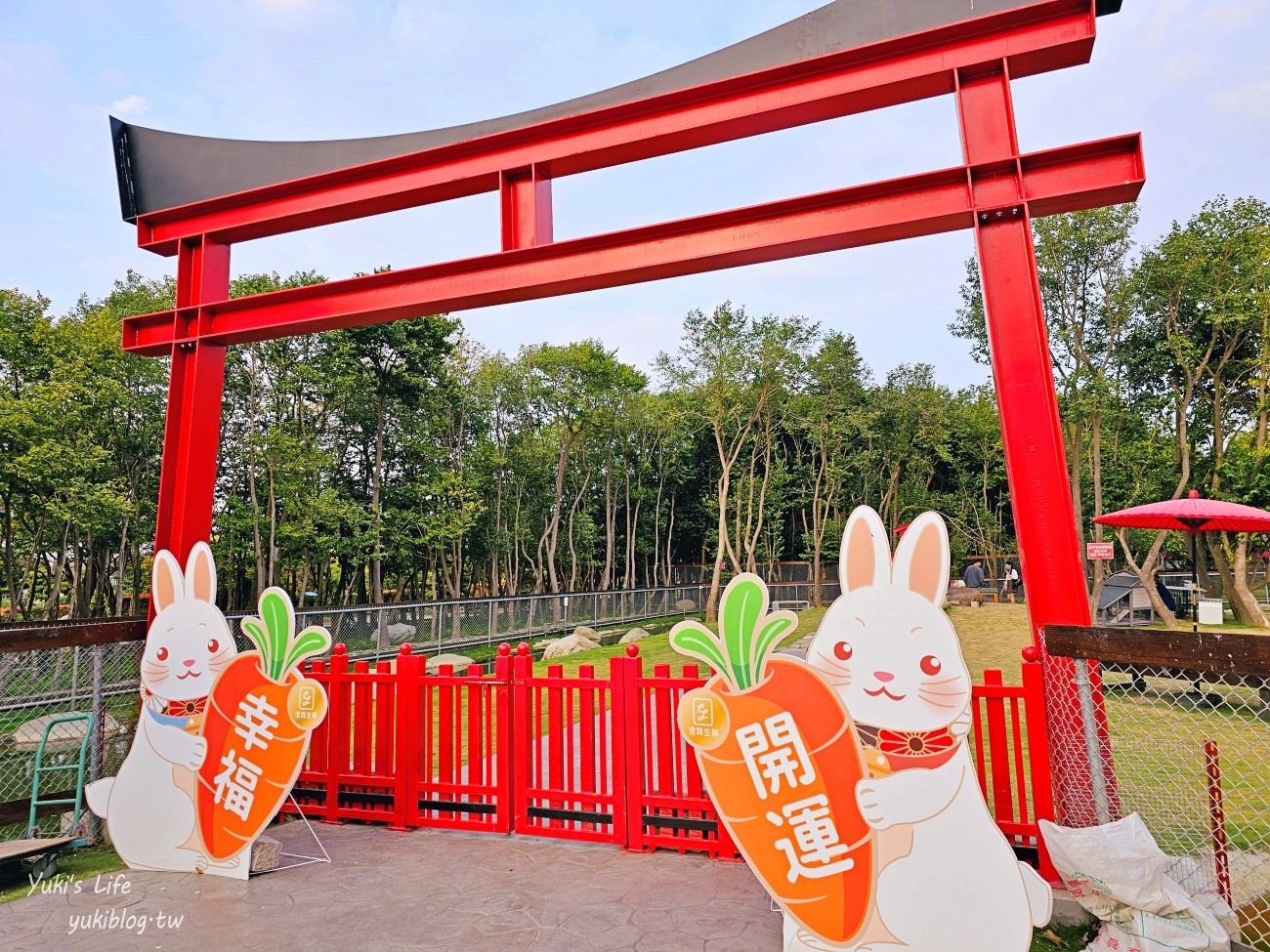 雲林虎尾景點》澄霖沉香味道森林館，全新兔子神社日式園區，來被兔兔包圍～ - yuki.tw