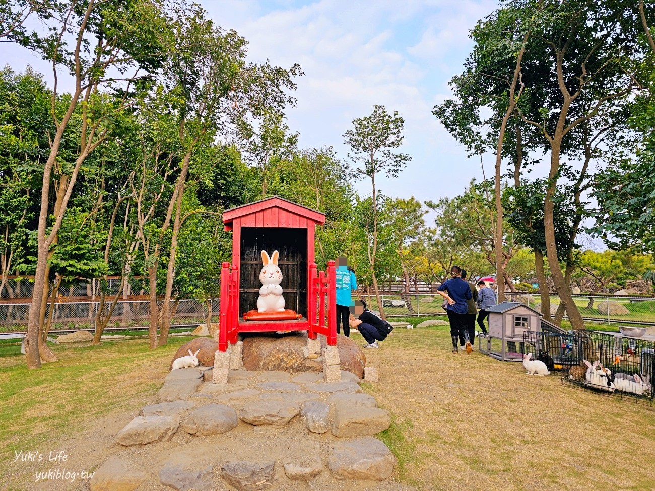 雲林虎尾景點》澄霖沉香味道森林館，全新兔子神社日式園區，來被兔兔包圍～ - yuki.tw