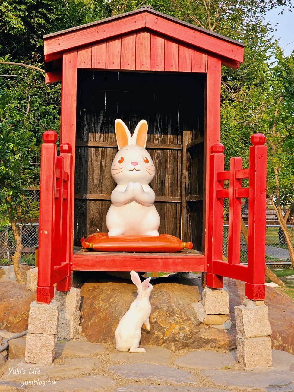 雲林虎尾景點》澄霖沉香味道森林館，全新兔子神社日式園區，來被兔兔包圍～ - yuki.tw