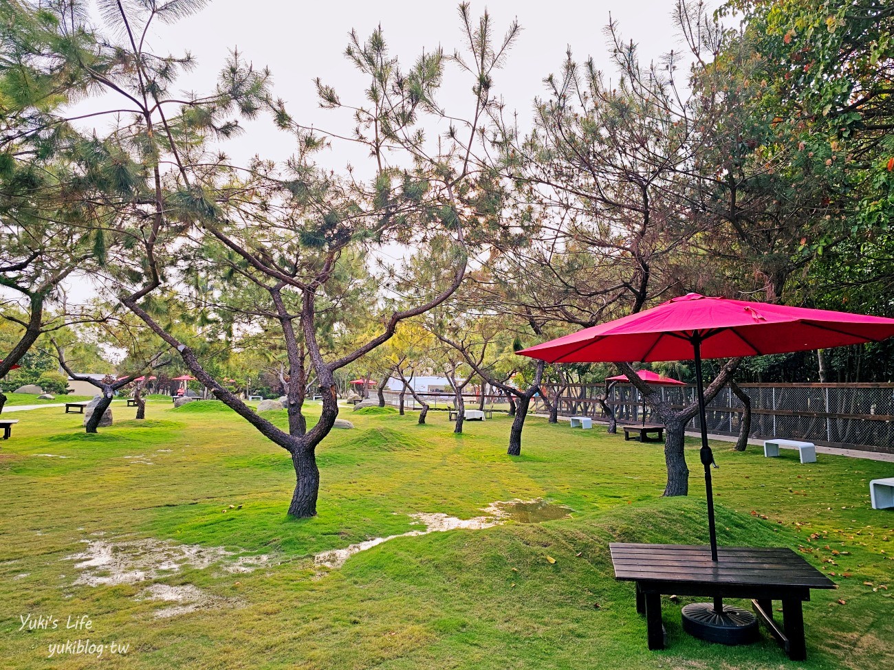 雲林虎尾景點》澄霖沉香味道森林館，全新兔子神社日式園區，來被兔兔包圍～ - yuki.tw