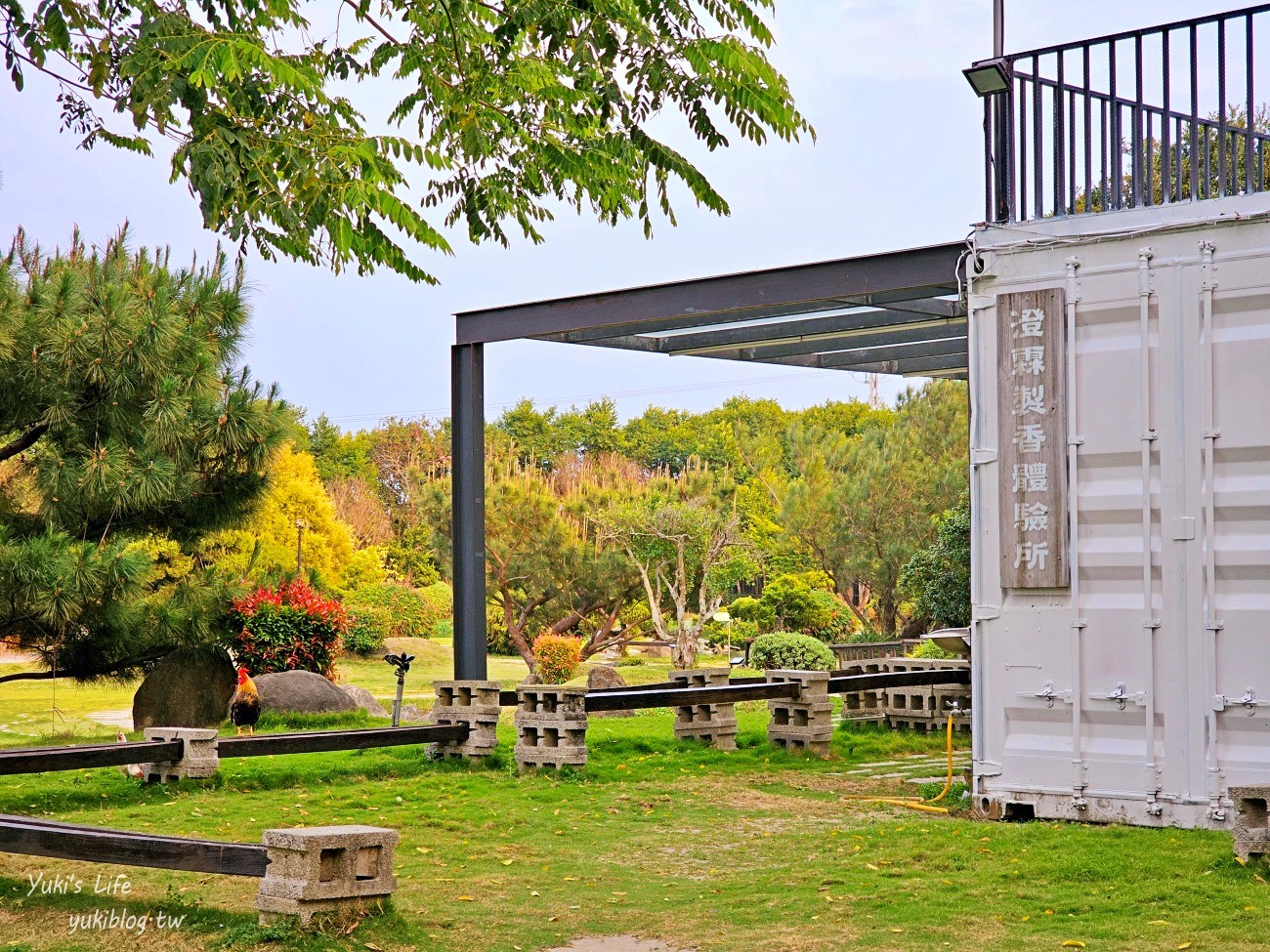 雲林虎尾景點》澄霖沉香味道森林館，全新兔子神社日式園區，來被兔兔包圍～ - yuki.tw