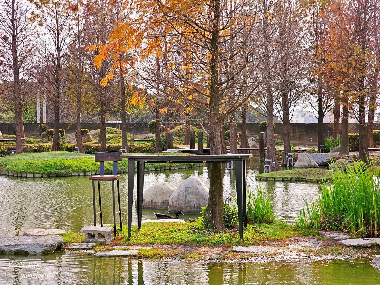 雲林虎尾景點》澄霖沉香味道森林館，全新兔子神社日式園區，來被兔兔包圍～ - yuki.tw