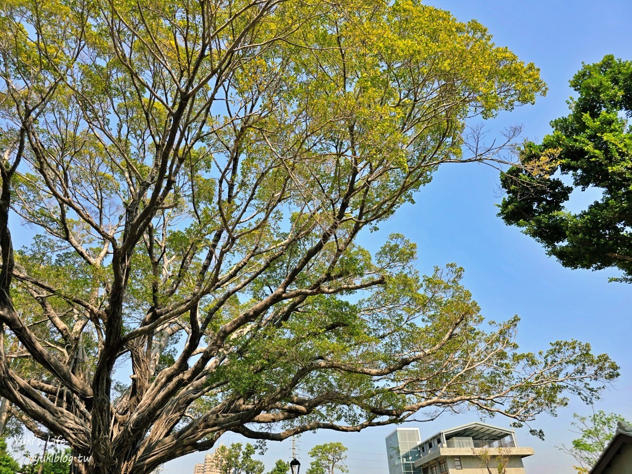 高雄免費景點》台塑王氏昆仲公園，最新水泥老屋文青景點 - yuki.tw