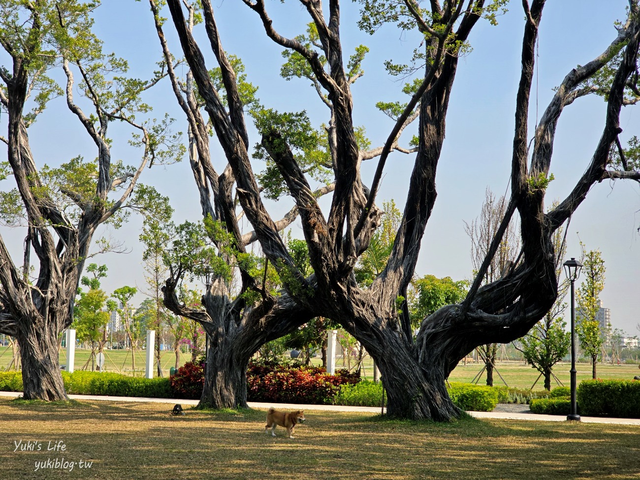 高雄免費景點》台塑王氏昆仲公園，最新水泥老屋文青景點 - yuki.tw