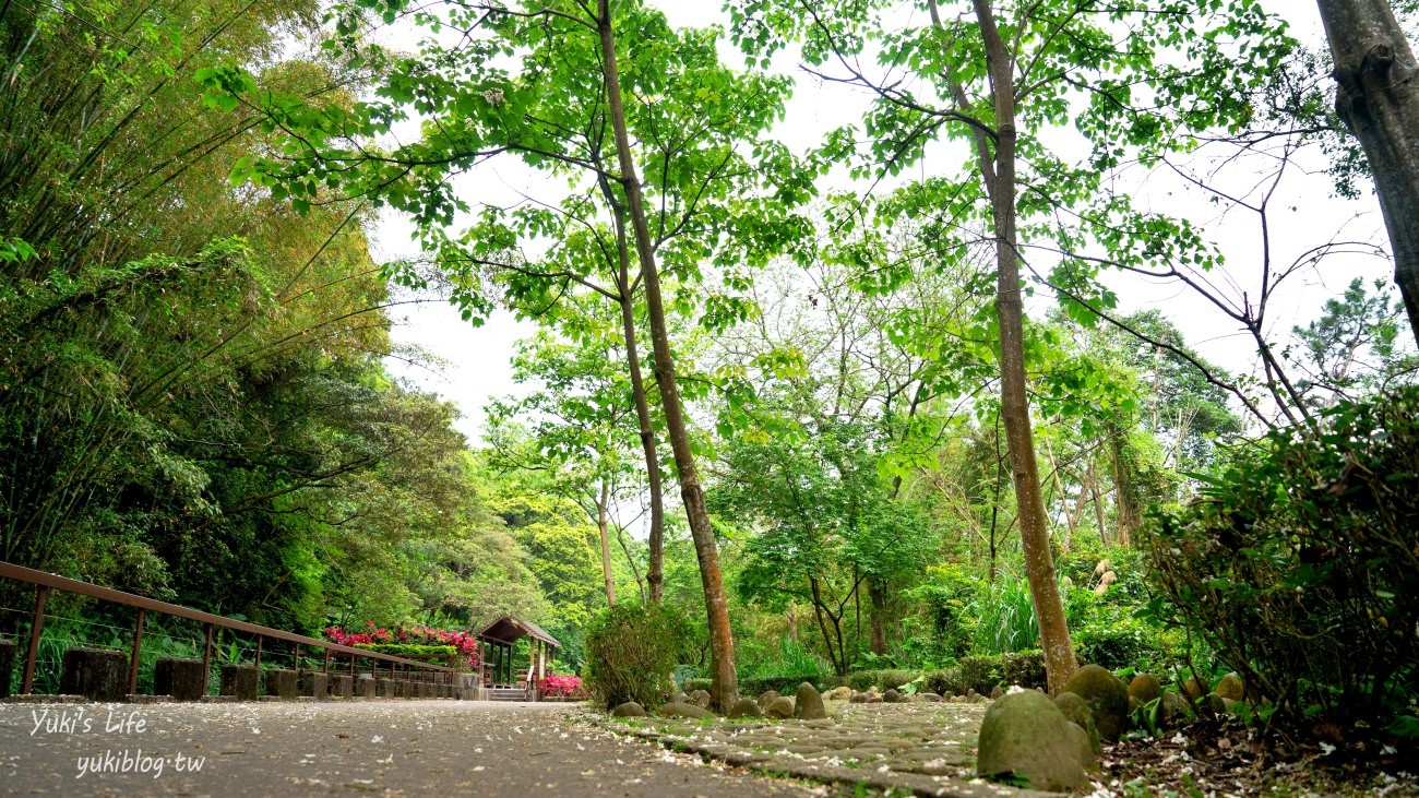 【2024桃園桐花祭】桃園油桐花秘境景點攻略！9處秘境.5條旅行路線.3重禮遇 - yuki.tw