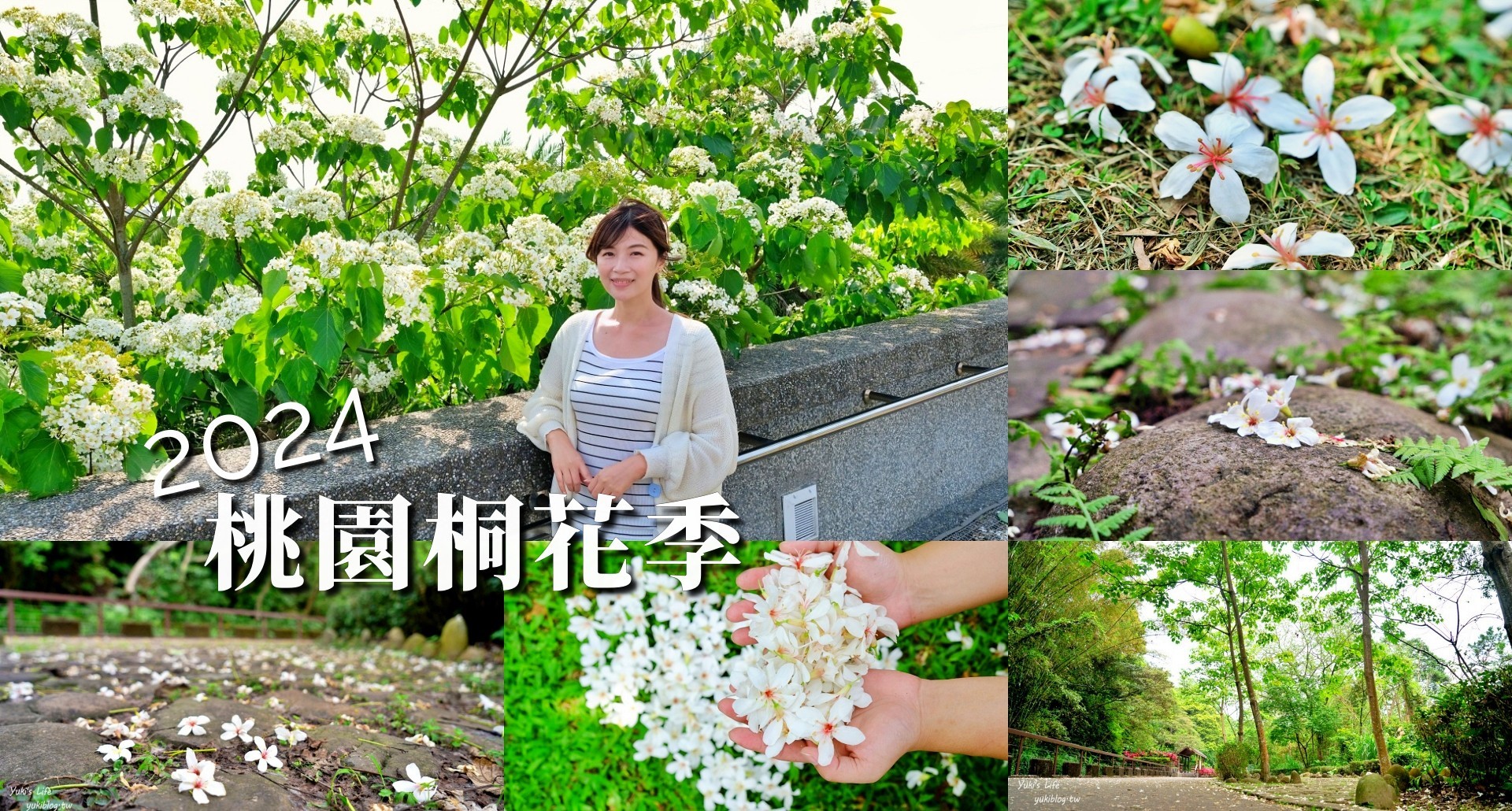 【2024桃園桐花祭】桃園油桐花秘境景點攻略！9處秘境.5條旅行路線.3重禮遇