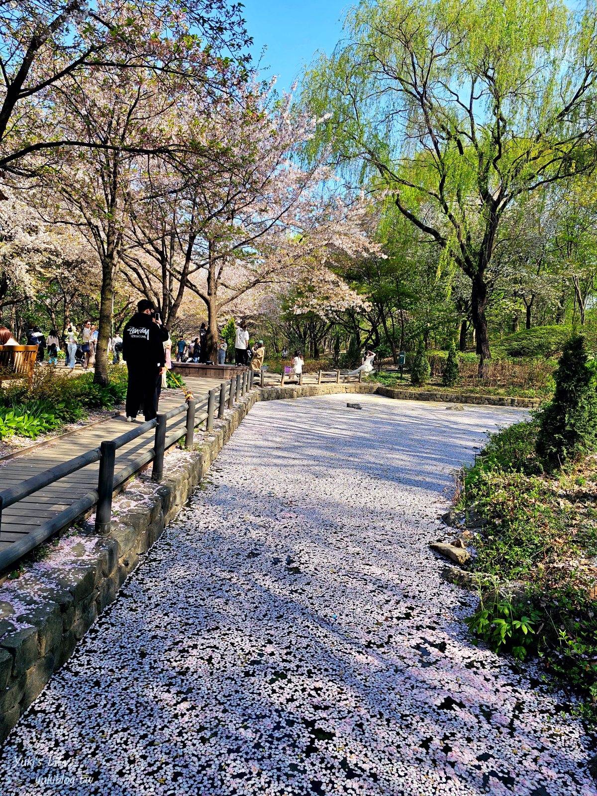 韓國賞櫻景點推薦！聖水洞「首爾林」櫻花大道必訪，櫻花雨水面太夢幻 - yuki.tw