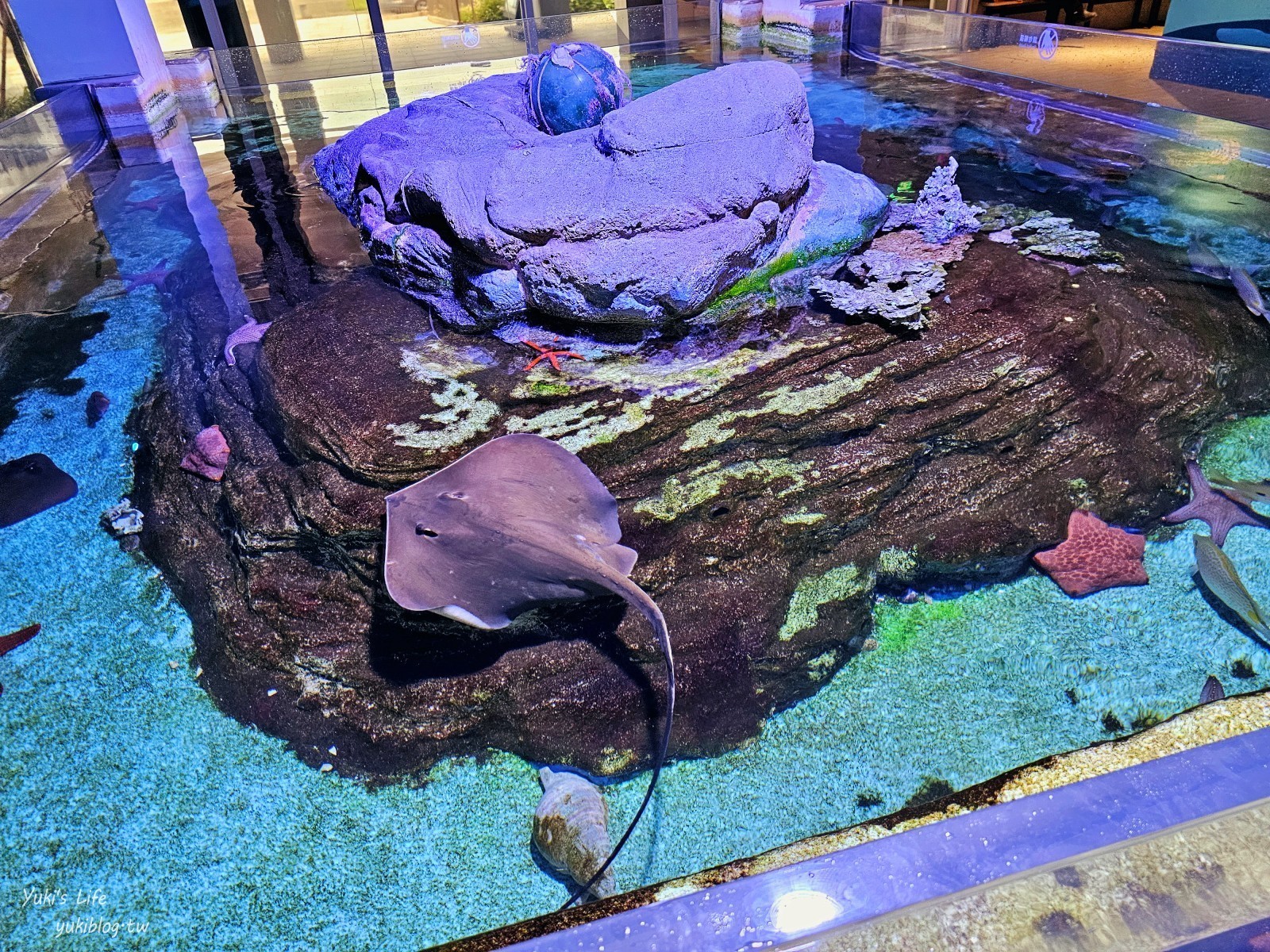 基隆親子景點│潮境智能海洋館、潮境公園│最潮室內水族館.門票.交通.必拍美照攻略 - yuki.tw