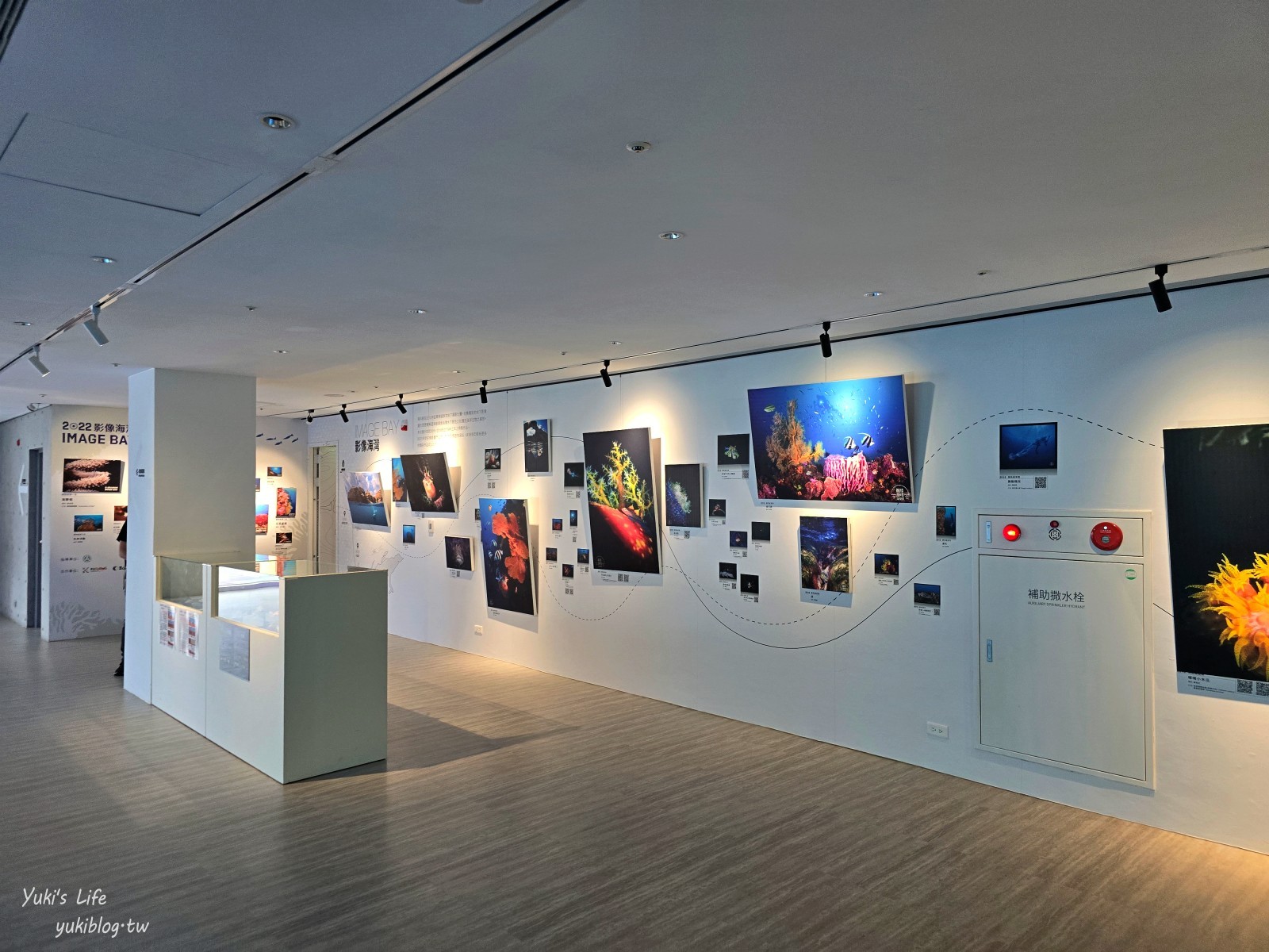 基隆親子景點│潮境智能海洋館、潮境公園│最潮室內水族館.門票.交通.必拍美照攻略 - yuki.tw