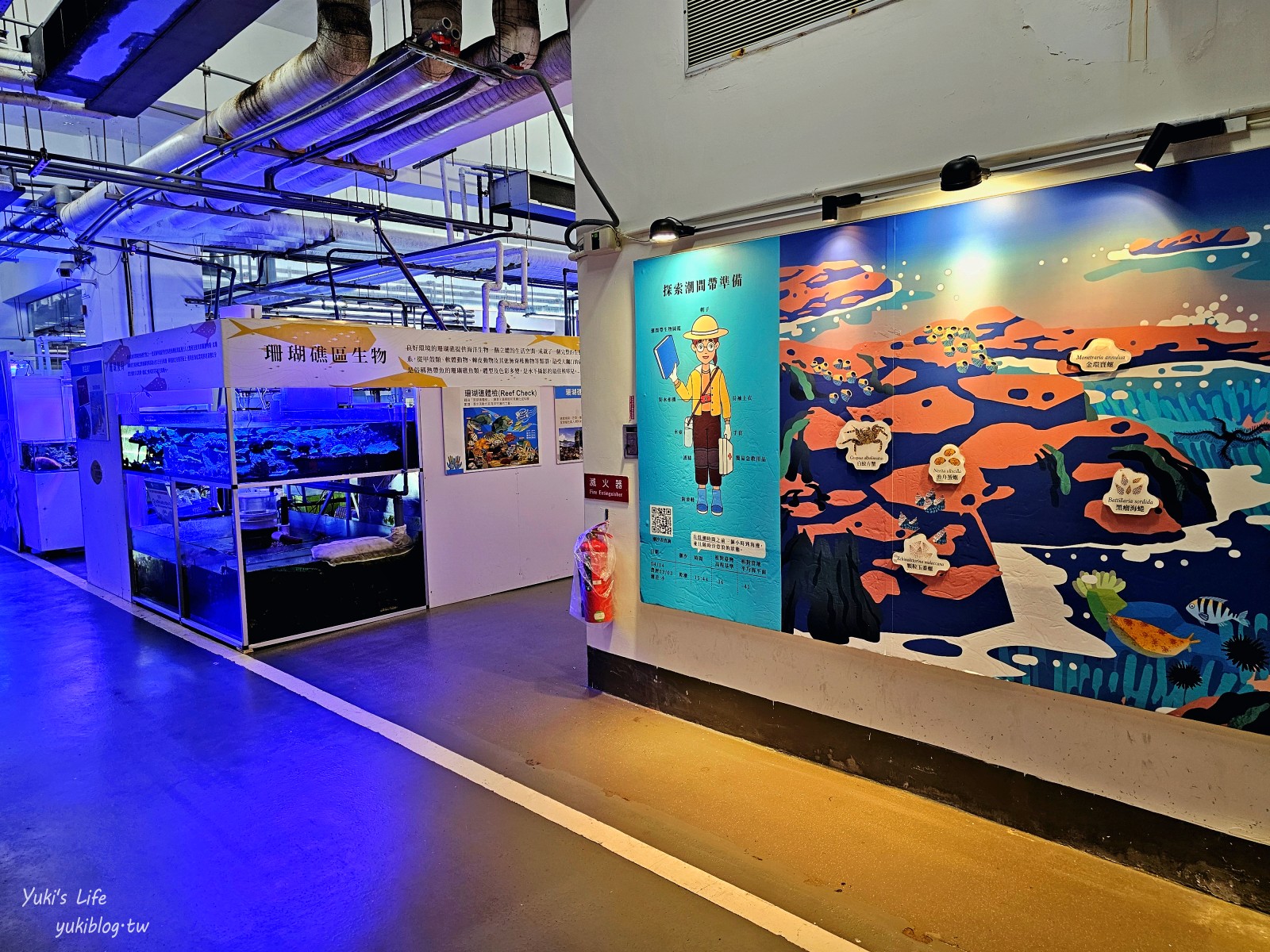 基隆親子景點│潮境智能海洋館、潮境公園│最潮室內水族館.門票.交通.必拍美照攻略 - yuki.tw