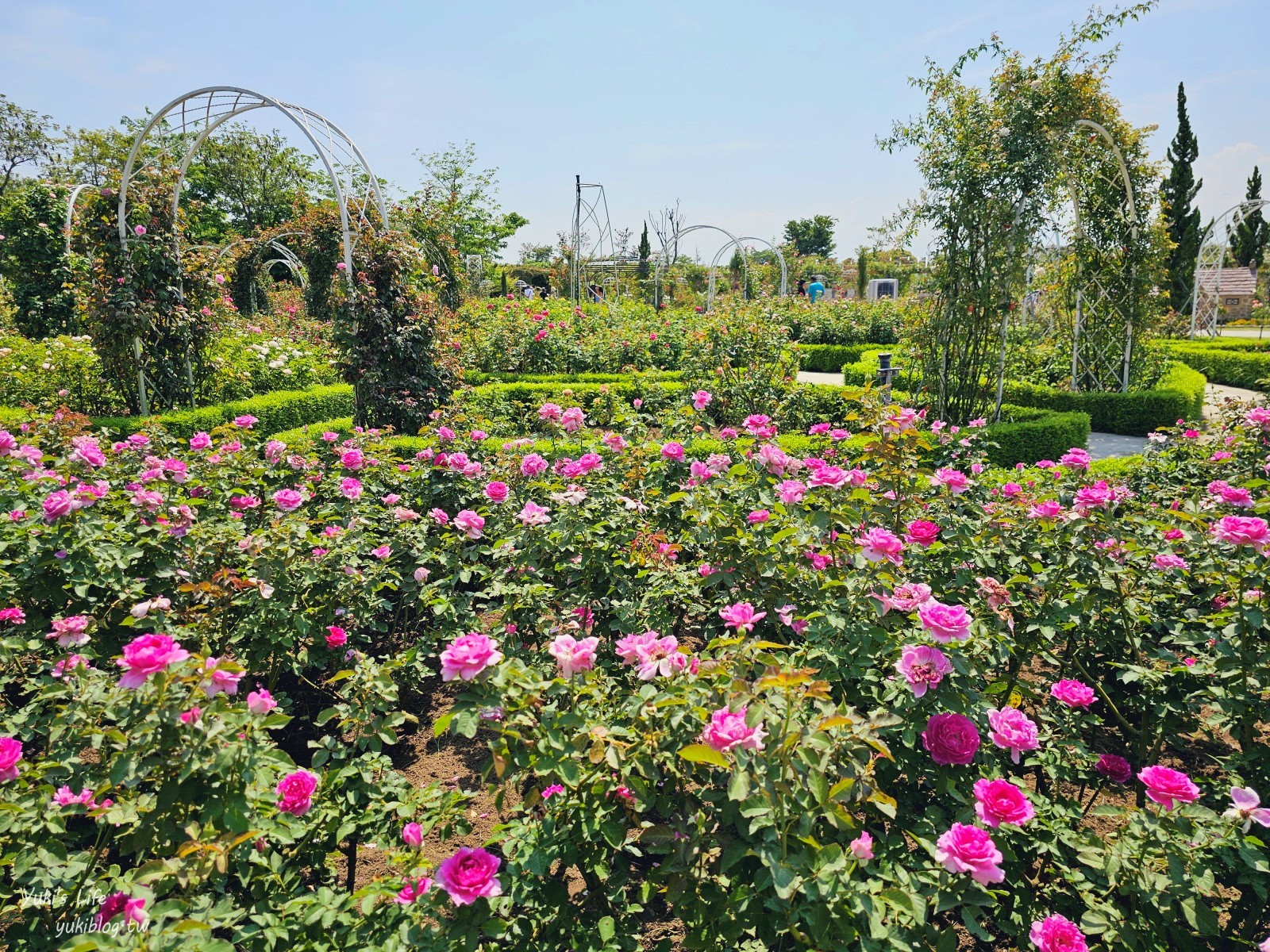 台南免門票景點|雅聞湖濱療癒森林|玫瑰花園裡泥座小屋好可愛！來到人小國～ - yuki.tw