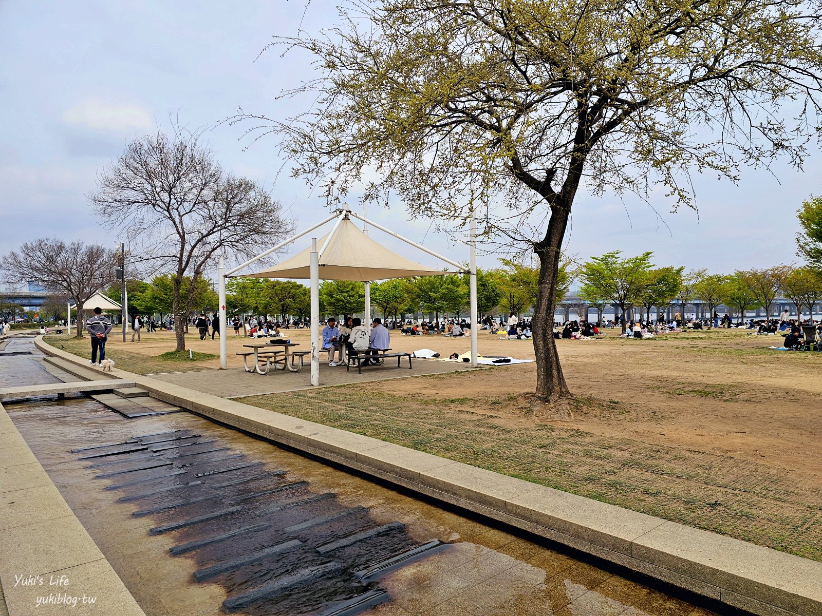 首爾景點》汝矣島漢江公園，野餐賞櫻花攻略！人來就好直接租野餐墊超方便！韓劇迷必朝聖 - yuki.tw