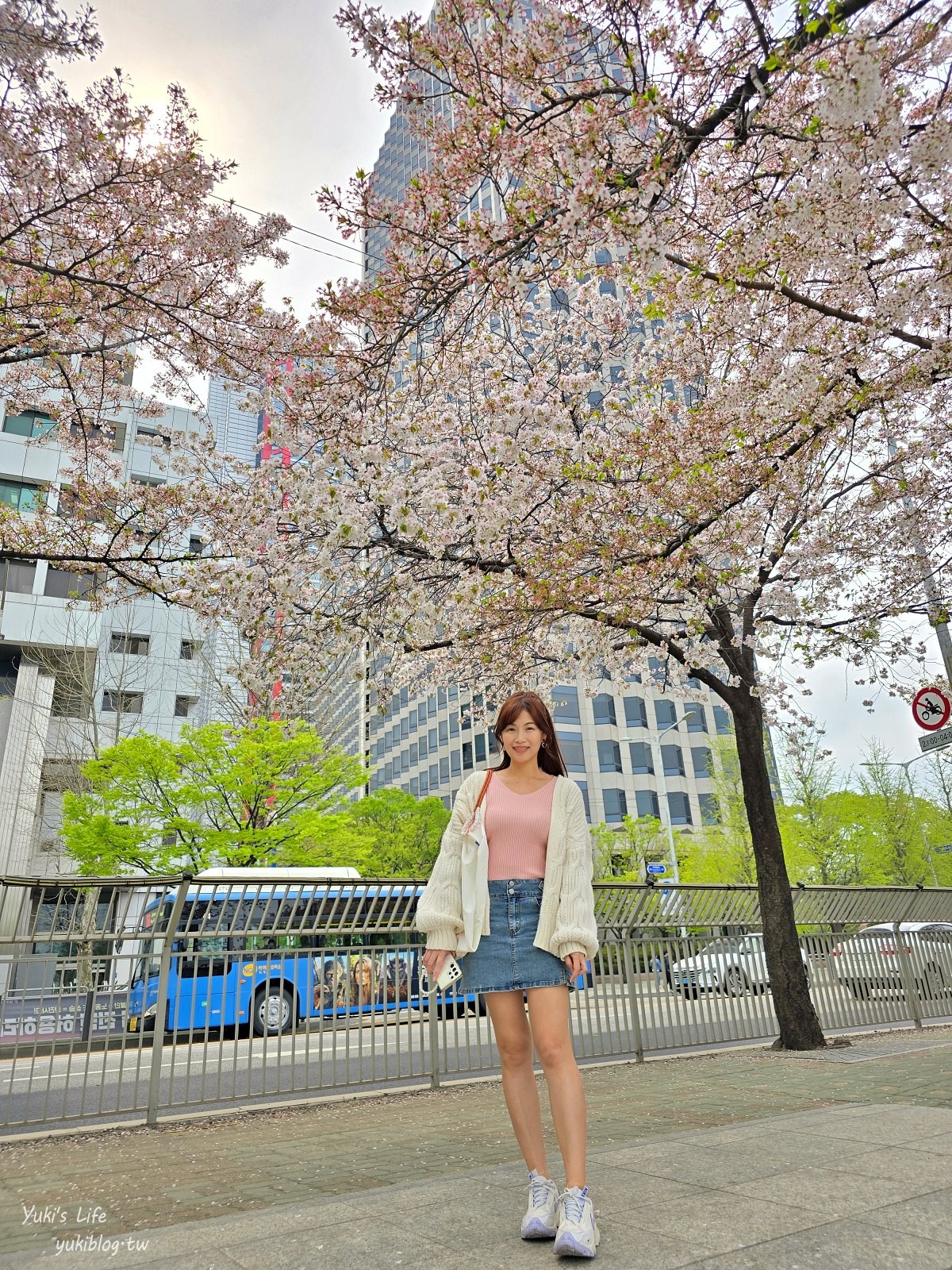 首爾景點》汝矣島漢江公園，野餐賞櫻花攻略！人來就好直接租野餐墊超方便！韓劇迷必朝聖 - yuki.tw