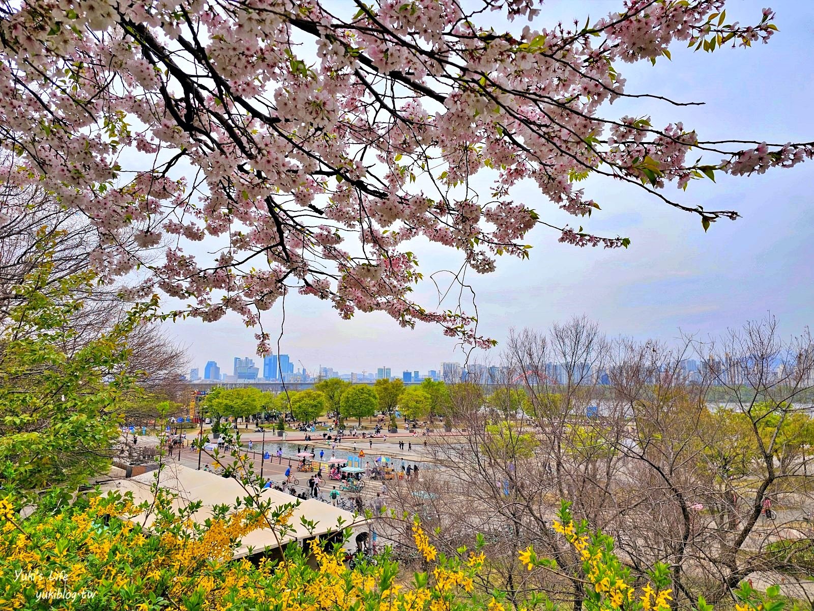 首爾景點》汝矣島漢江公園，野餐賞櫻花攻略！人來就好直接租野餐墊超方便！韓劇迷必朝聖 - yuki.tw