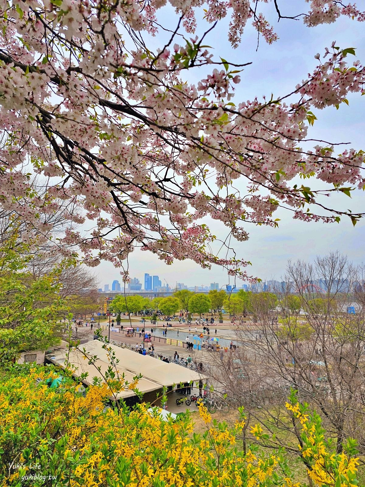 首爾景點》汝矣島漢江公園，野餐賞櫻花攻略！人來就好直接租野餐墊超方便！韓劇迷必朝聖 - yuki.tw