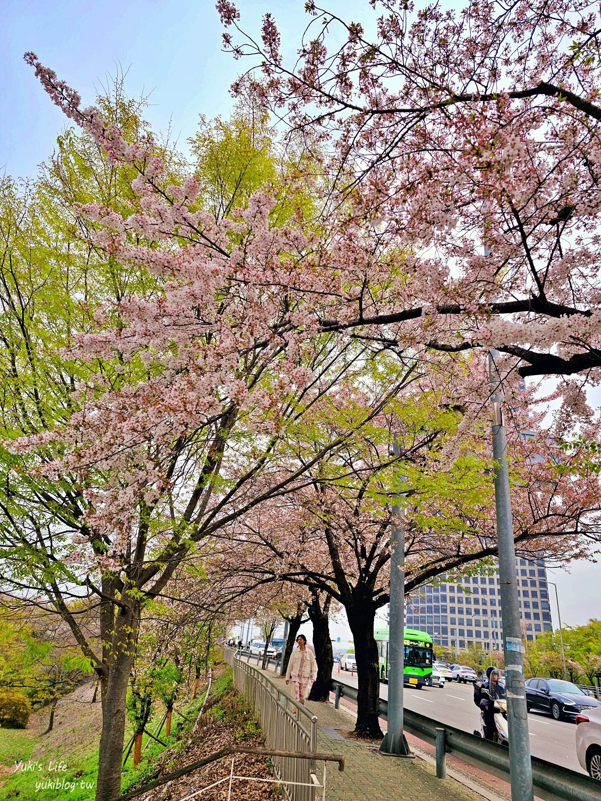 首爾景點》汝矣島漢江公園，野餐賞櫻花攻略！人來就好直接租野餐墊超方便！韓劇迷必朝聖 - yuki.tw