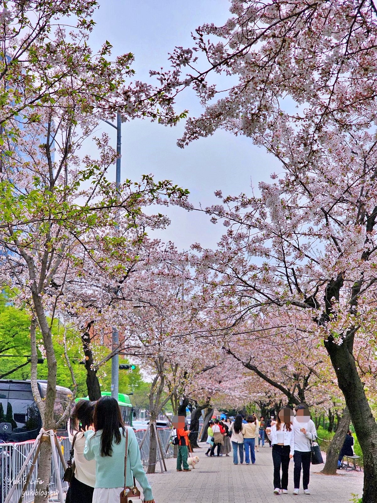 首爾景點》汝矣島漢江公園，野餐賞櫻花攻略！人來就好直接租野餐墊超方便！韓劇迷必朝聖 - yuki.tw