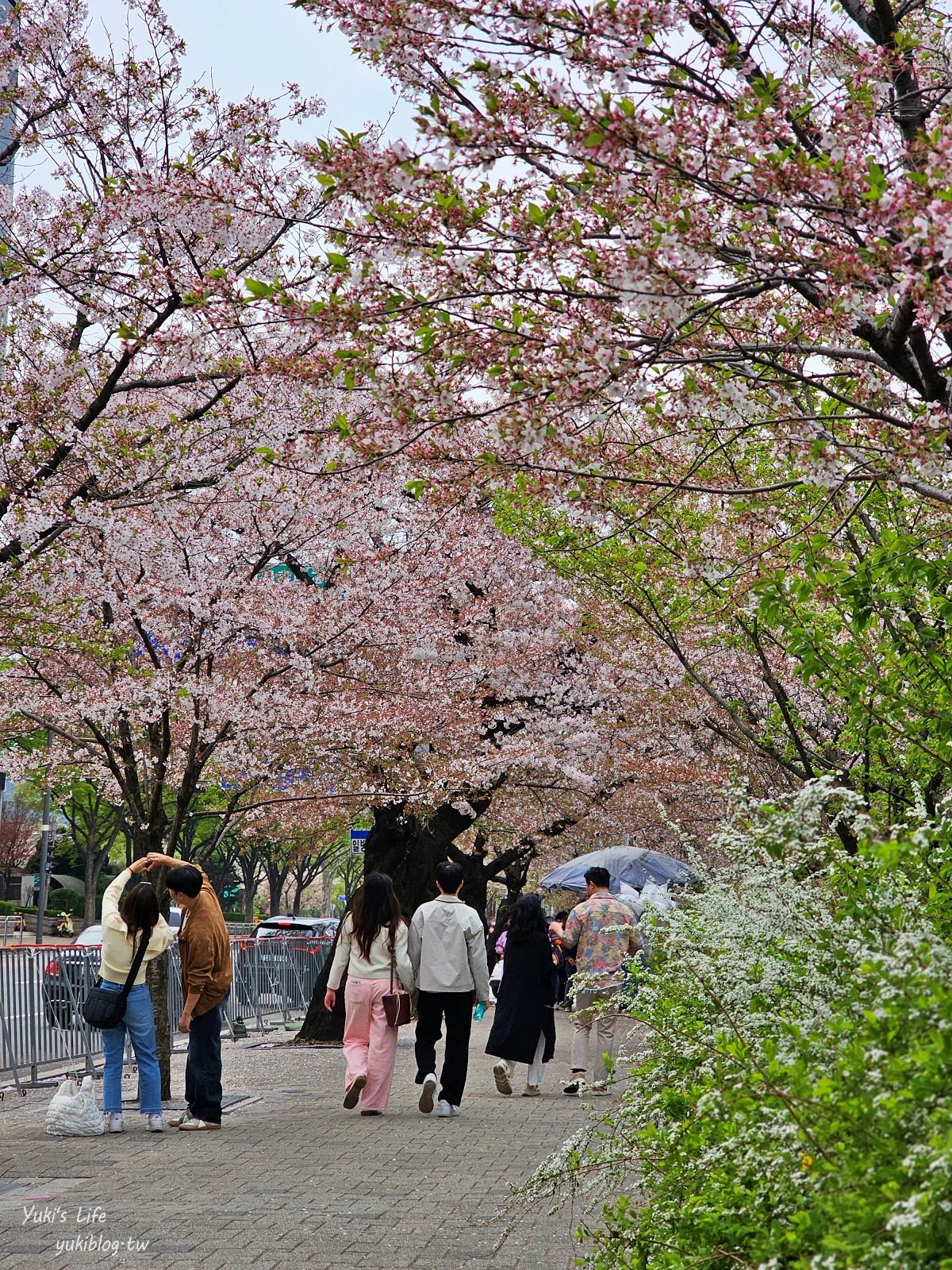 首爾景點》汝矣島漢江公園，野餐賞櫻花攻略！人來就好直接租野餐墊超方便！韓劇迷必朝聖 - yuki.tw