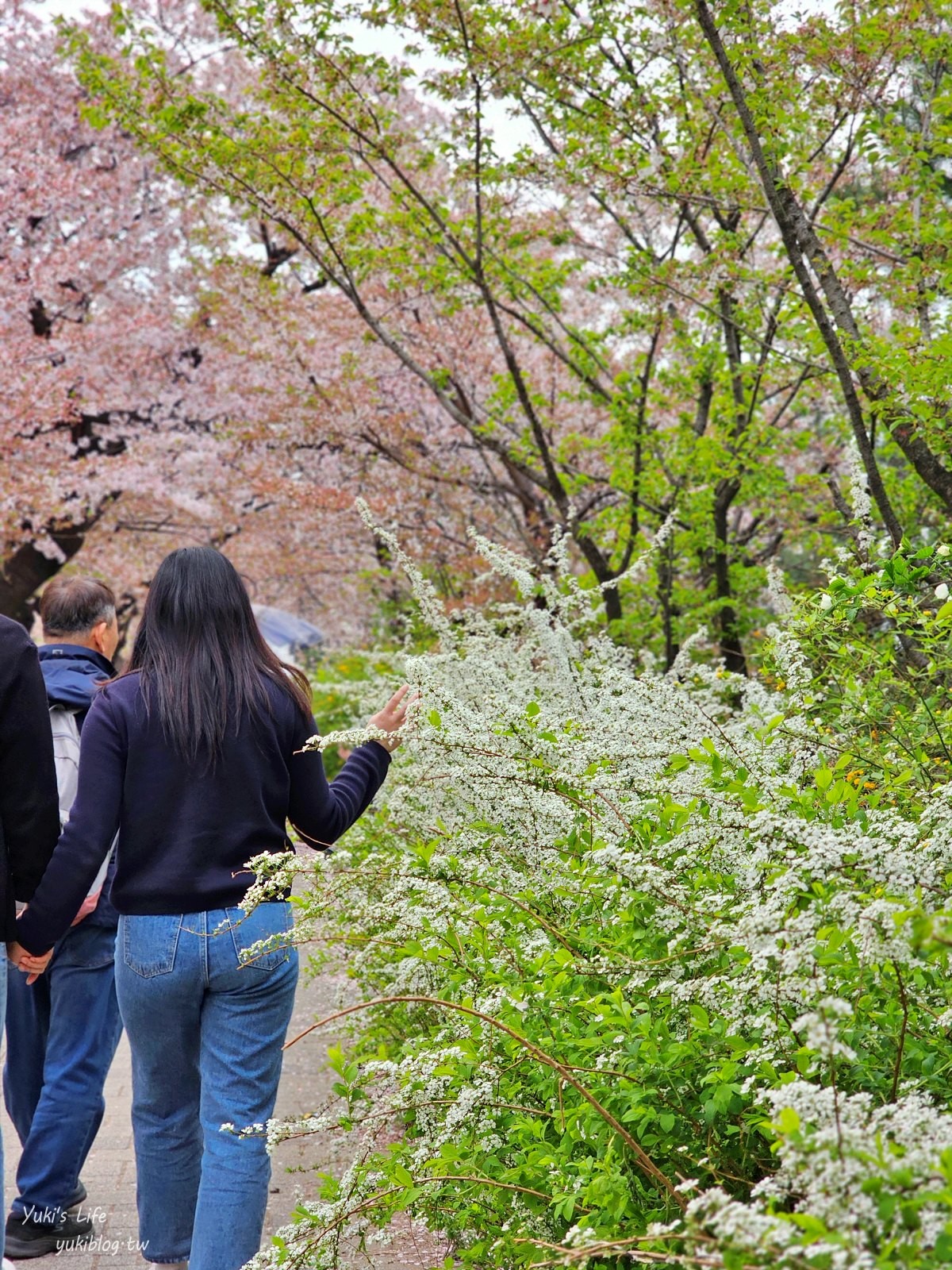 首爾景點》汝矣島漢江公園，野餐賞櫻花攻略！人來就好直接租野餐墊超方便！韓劇迷必朝聖 - yuki.tw