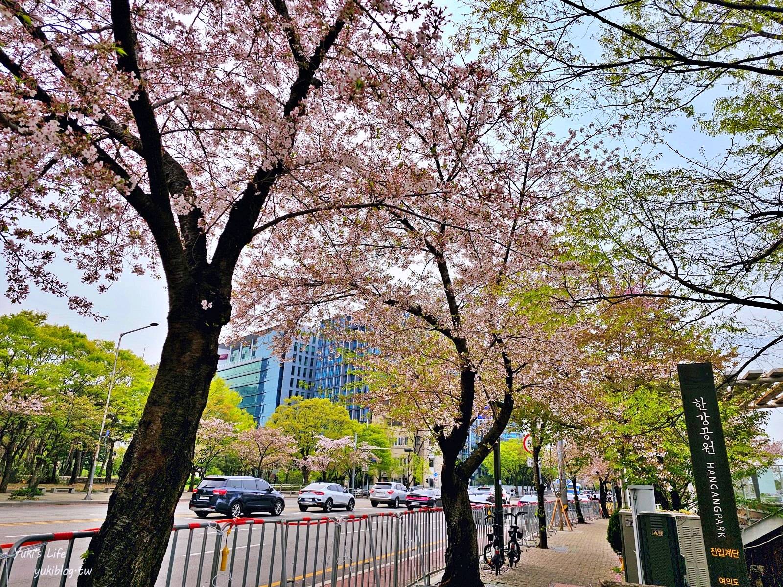 首爾景點》汝矣島漢江公園，野餐賞櫻花攻略！人來就好直接租野餐墊超方便！韓劇迷必朝聖 - yuki.tw