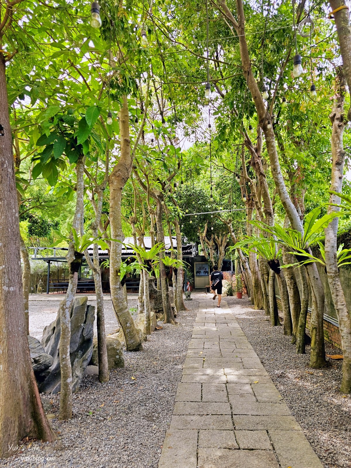 宜蘭礁溪美食【PARTY泰 烤魚餐廳】烤魚和蝦餅必點，家族聚餐好地方～台式口味的泰式餐廳 - yuki.tw